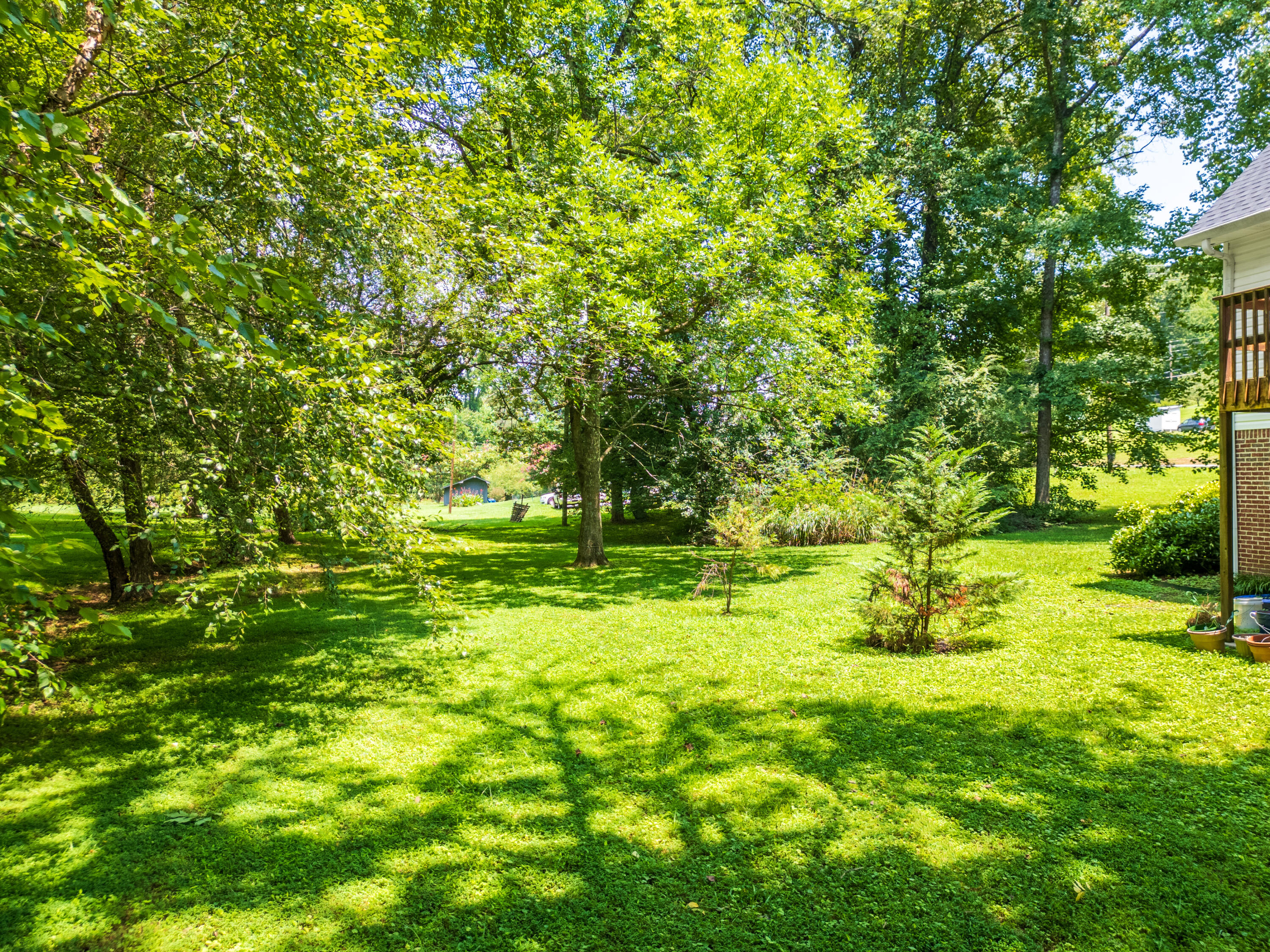 501 Cloudview Lane
