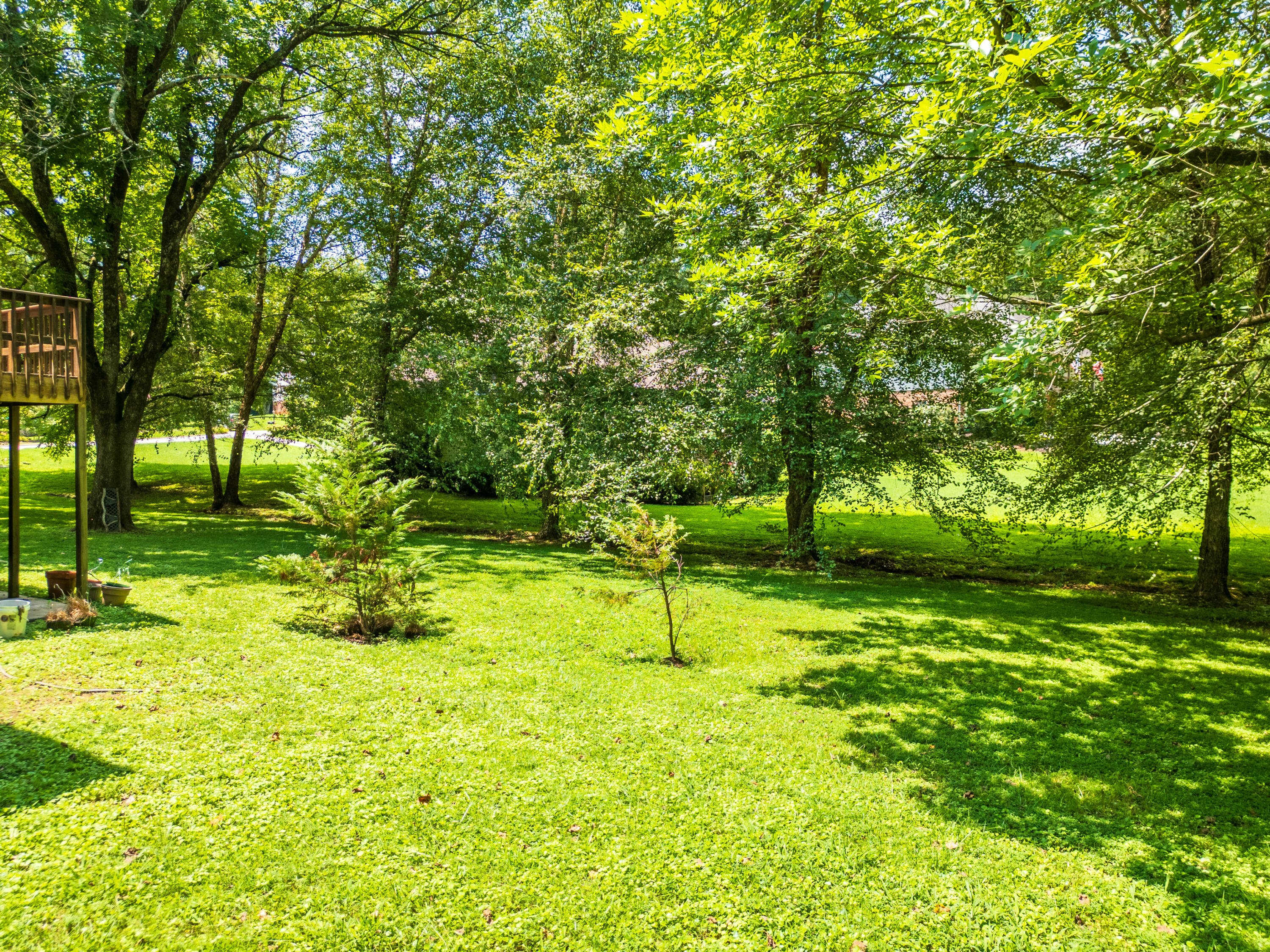 501 Cloudview Lane