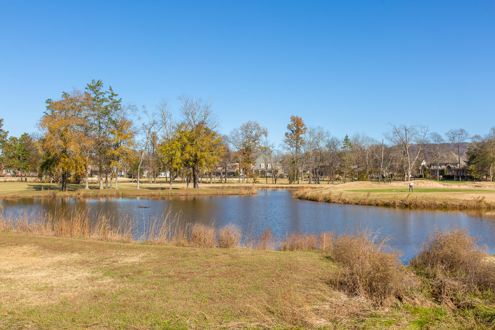 8322 Rambling Rose Drive