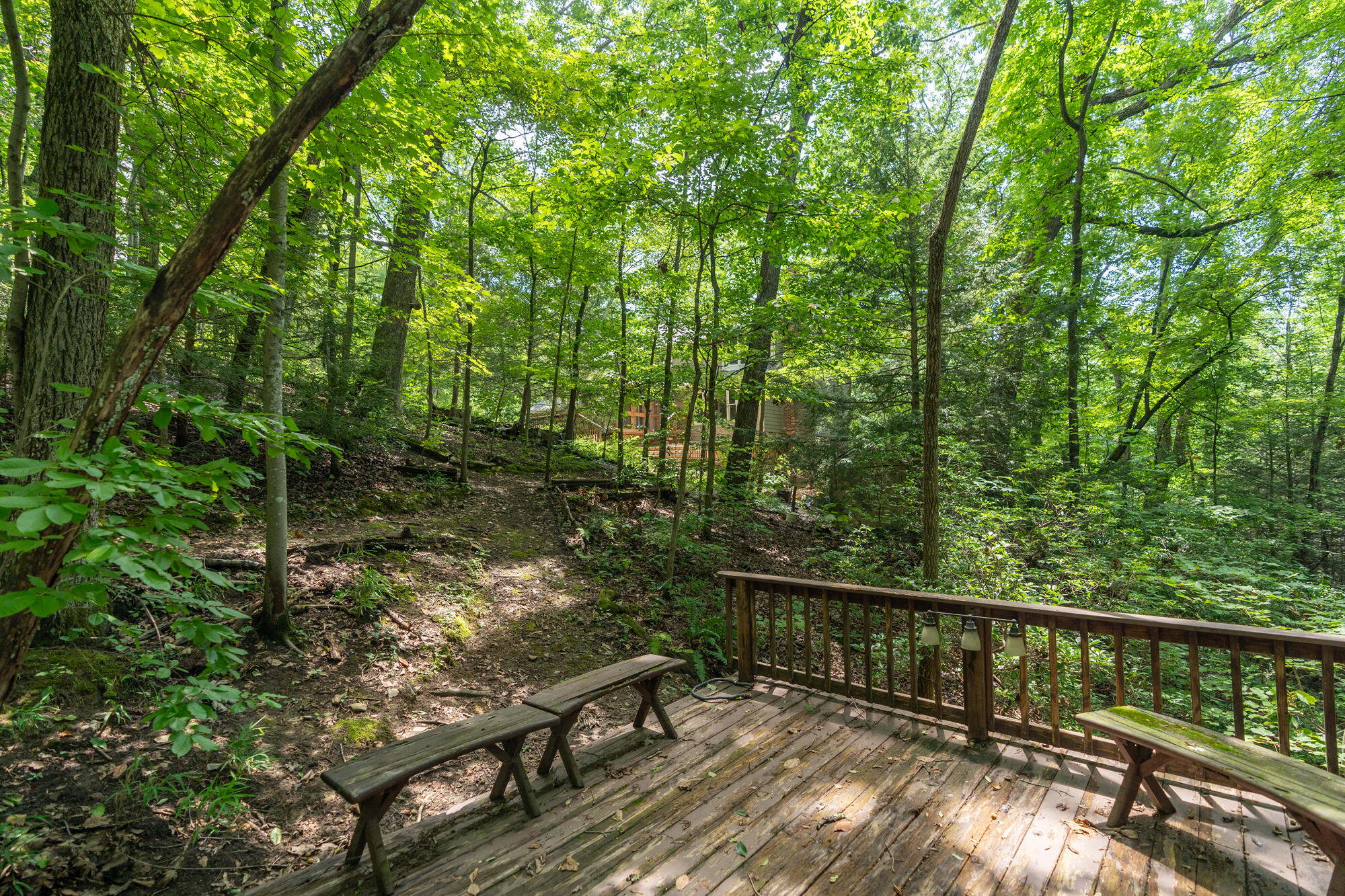 530 Fern Trail