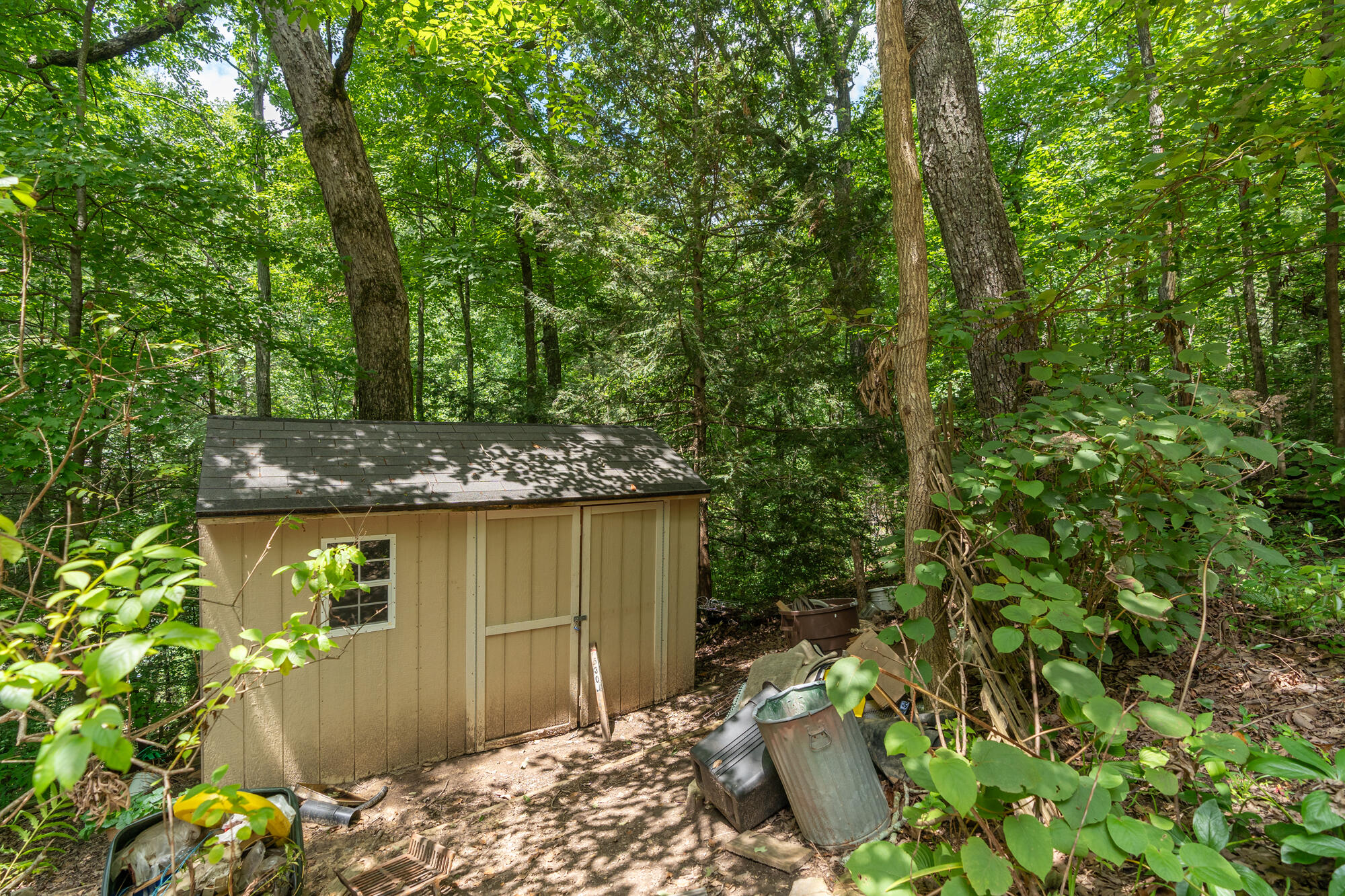 530 Fern Trail