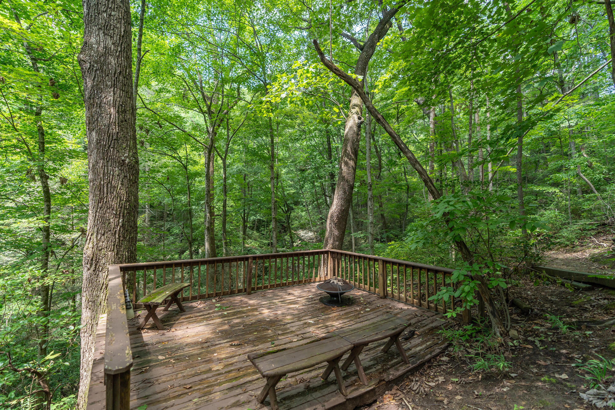 530 Fern Trail