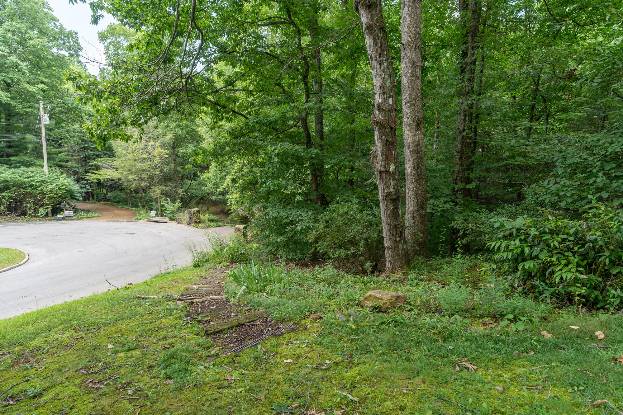 530 Fern Trail