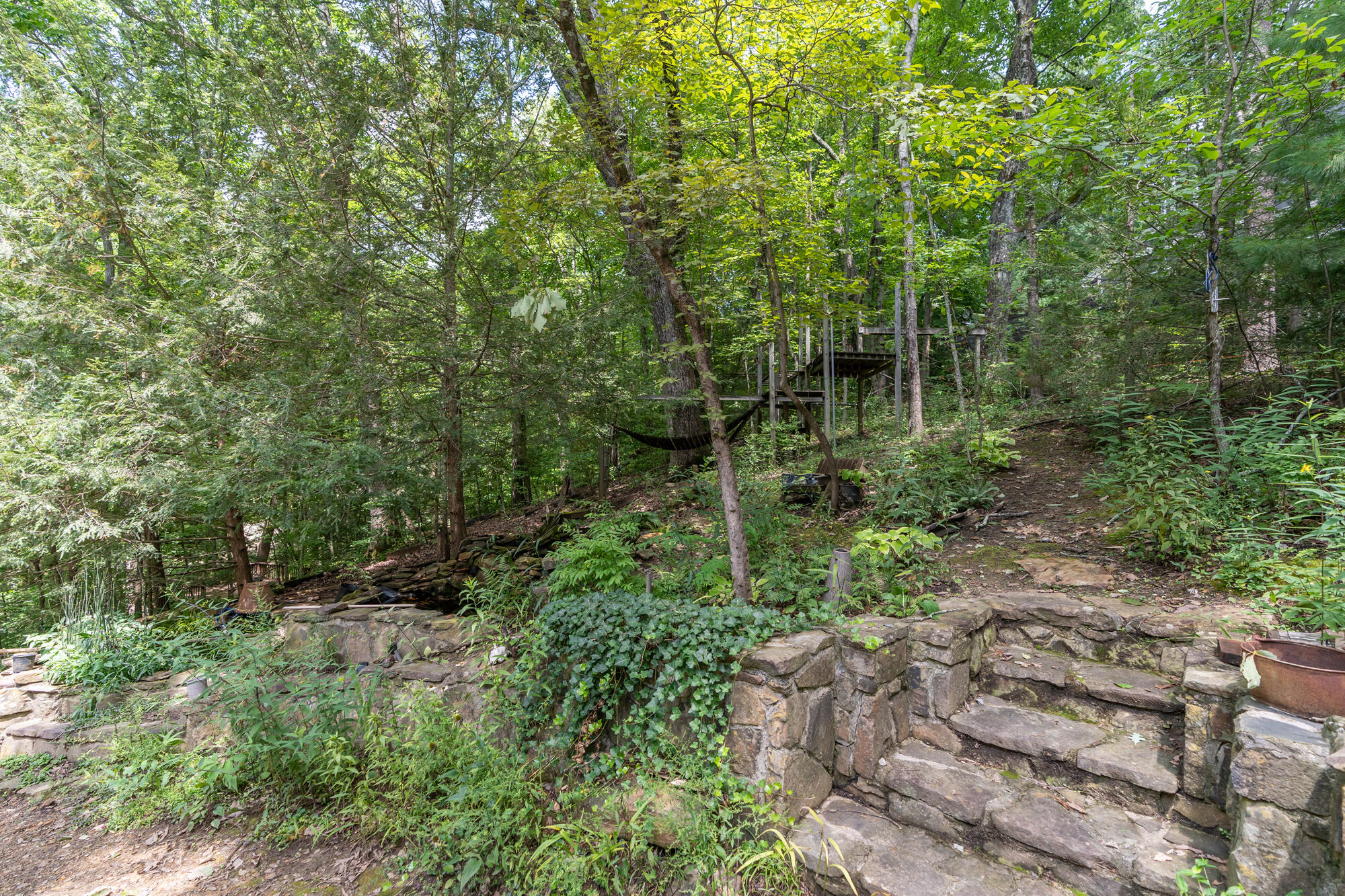 530 Fern Trail