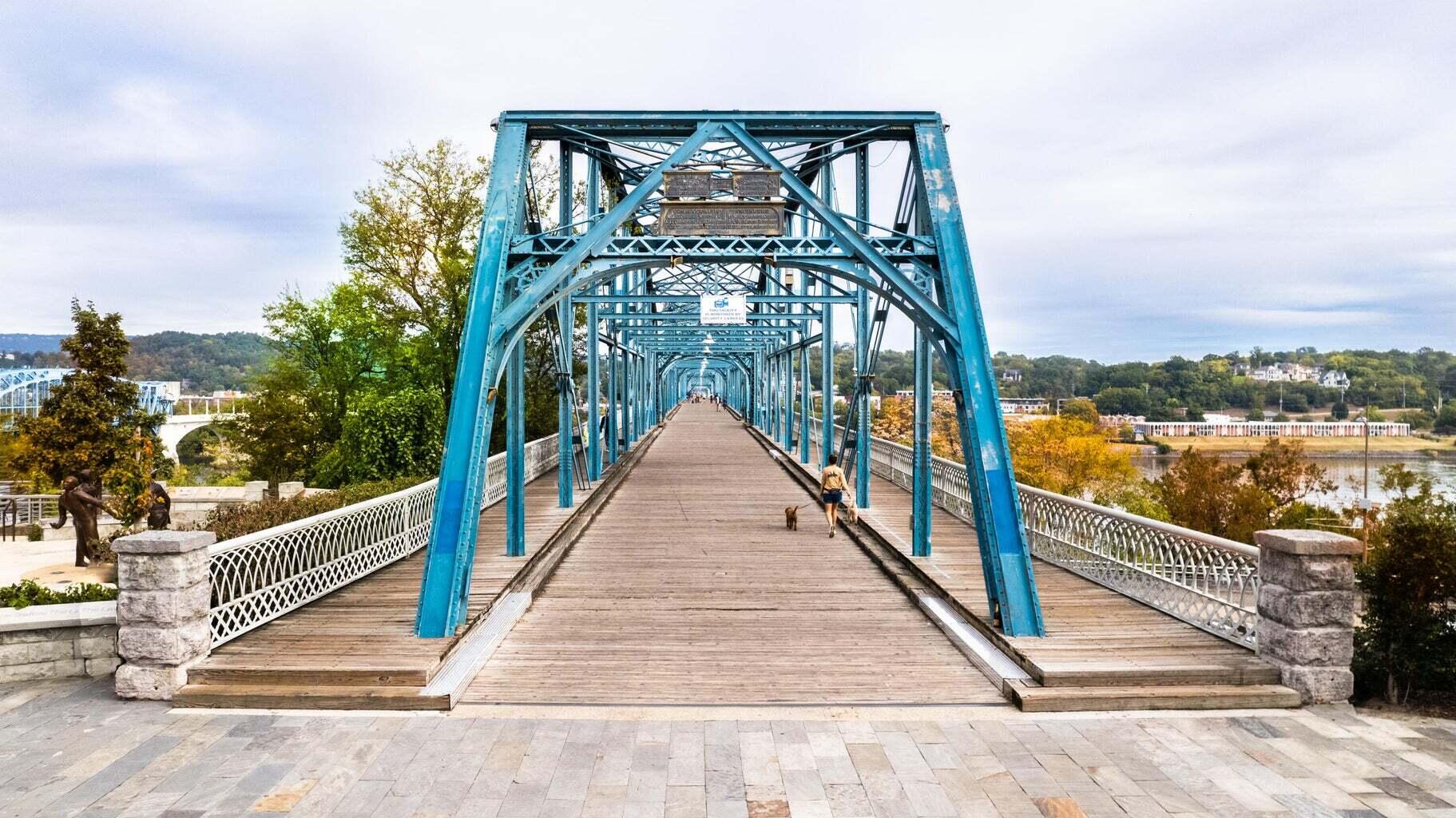 1223 Constitution Drive