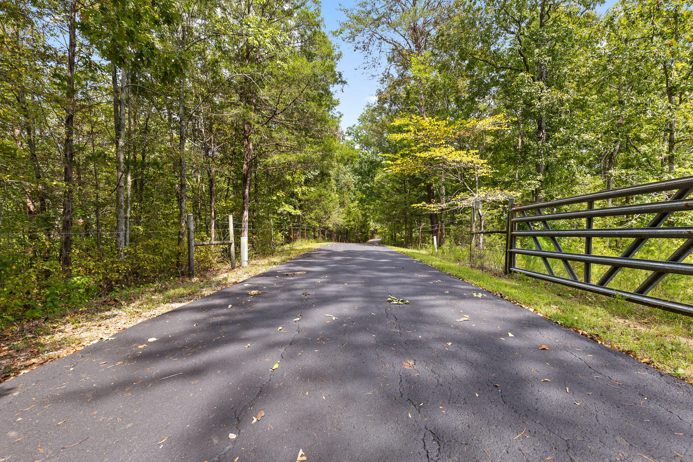 367 Memorial Lane