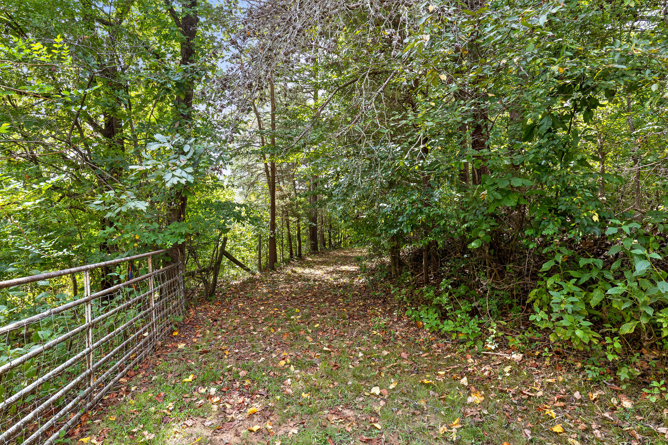 367 Memorial Lane