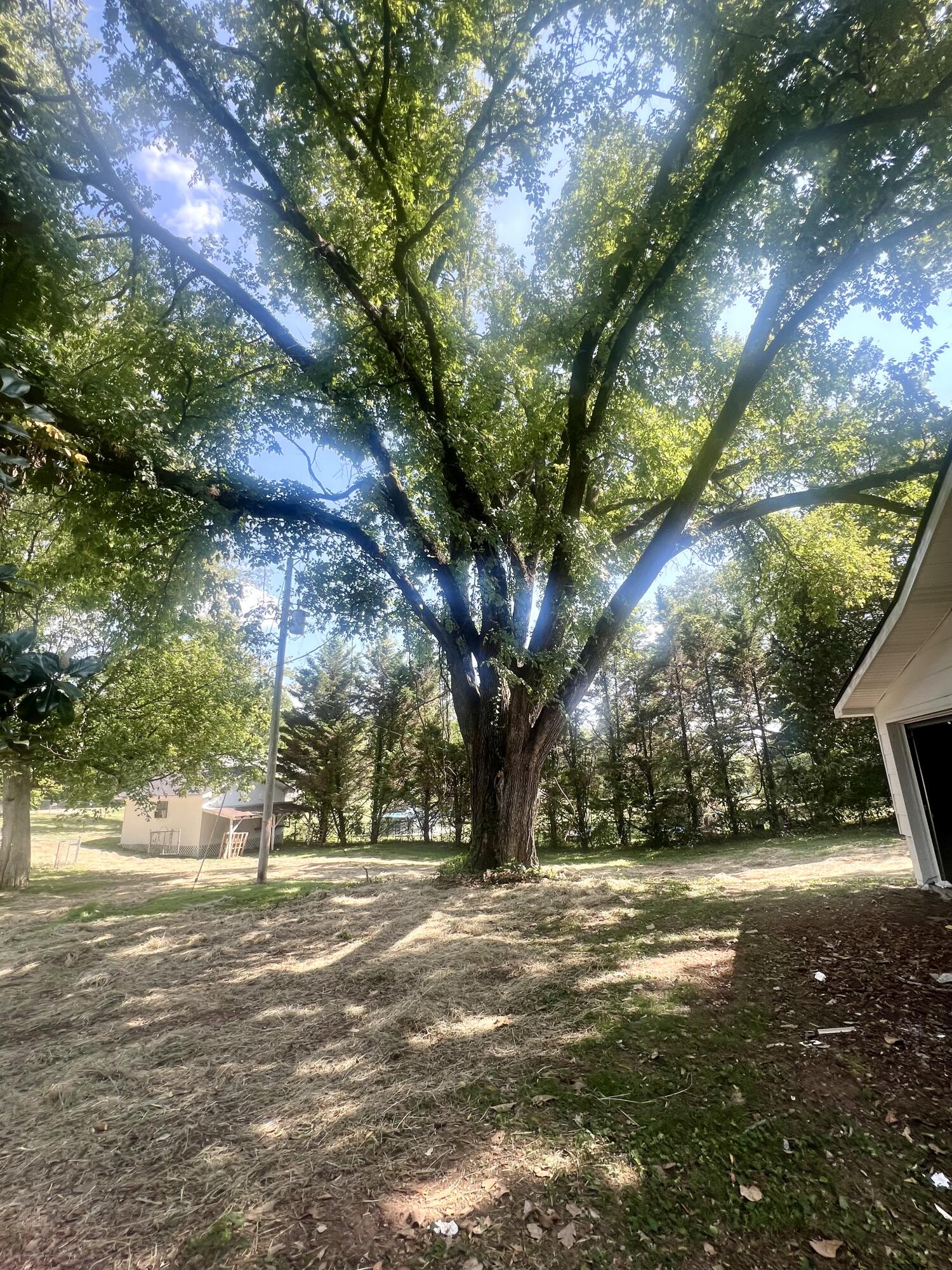 354 Burning Bush Road