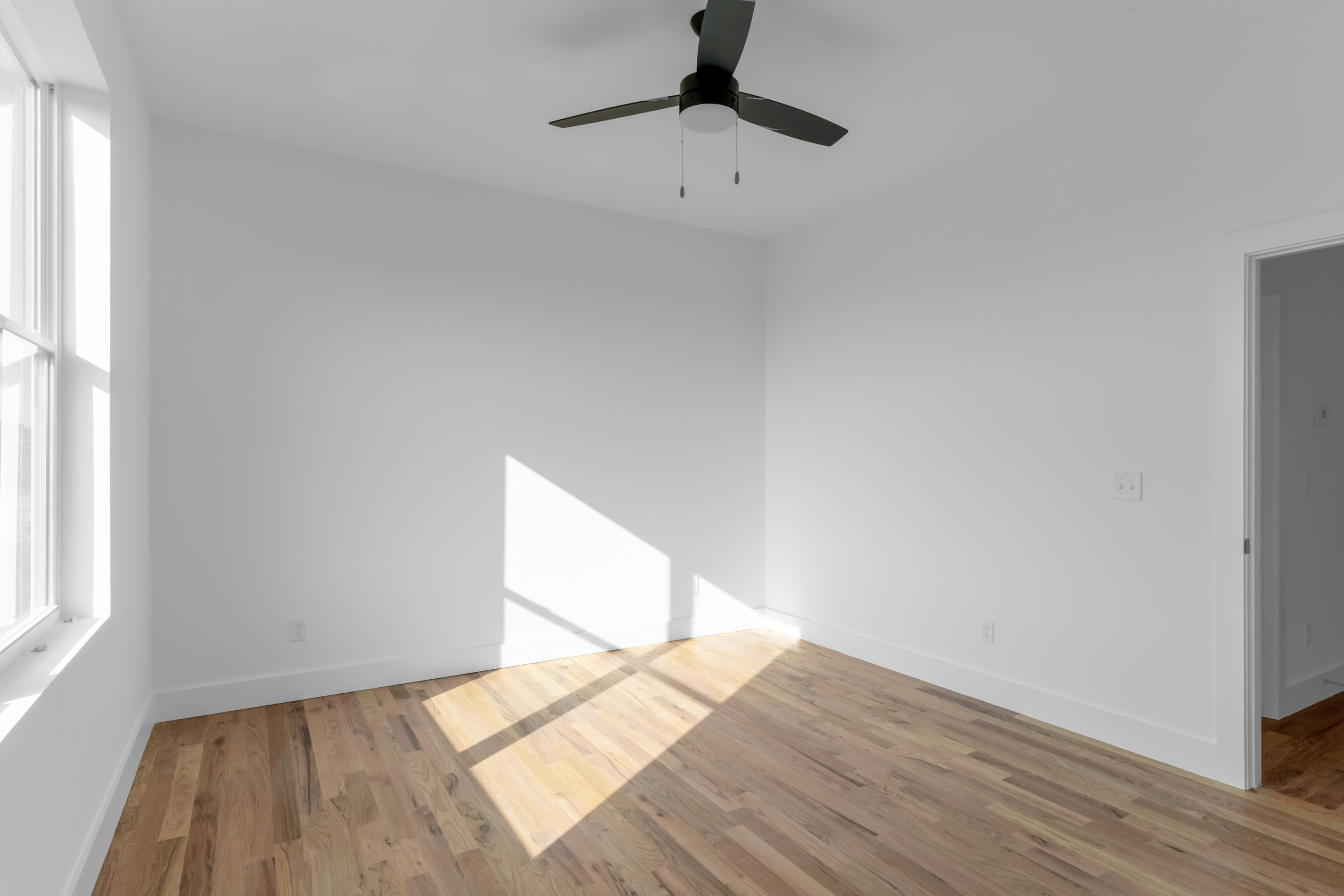 955 Montague Place