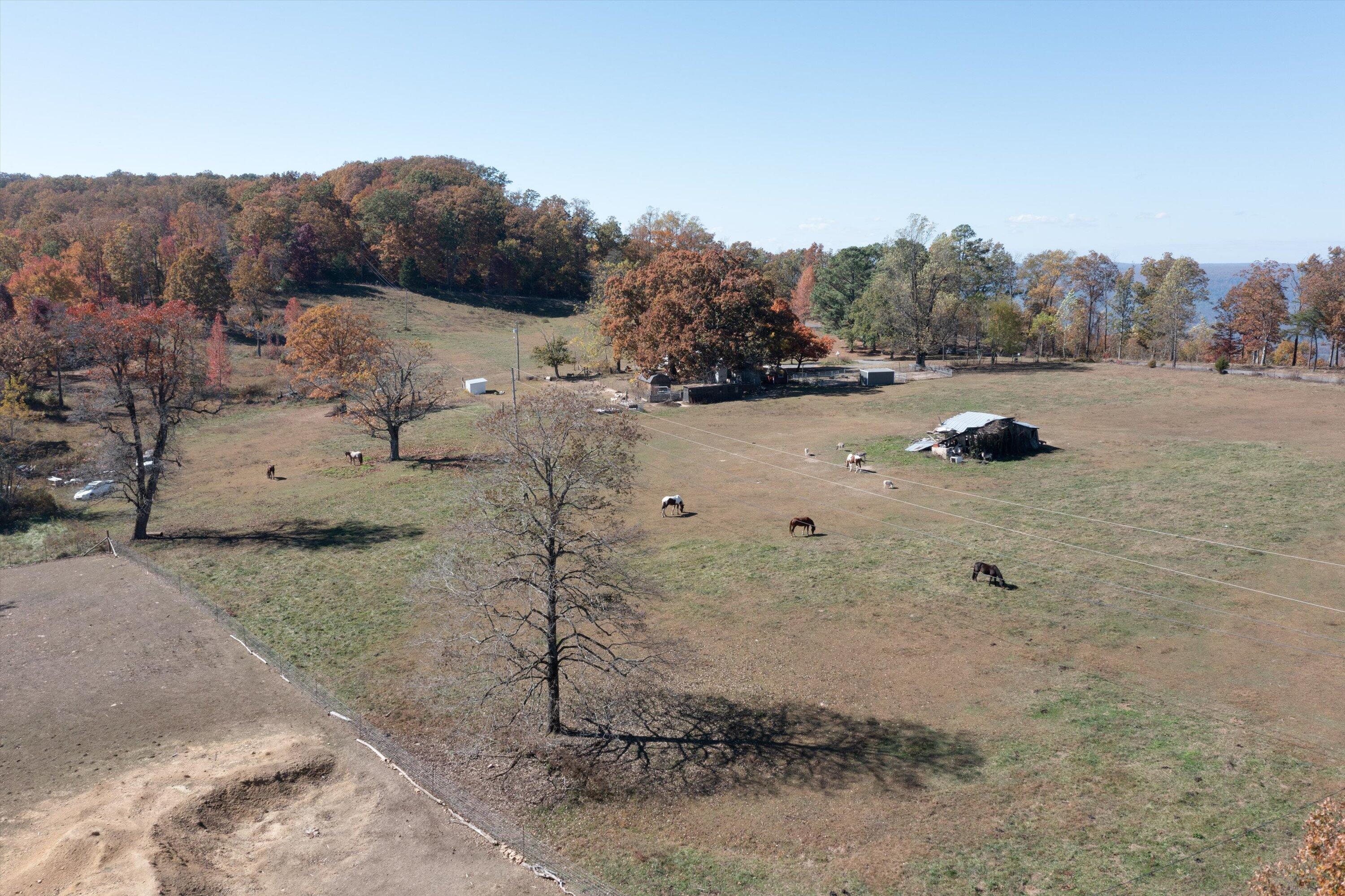 1314 Patton Road