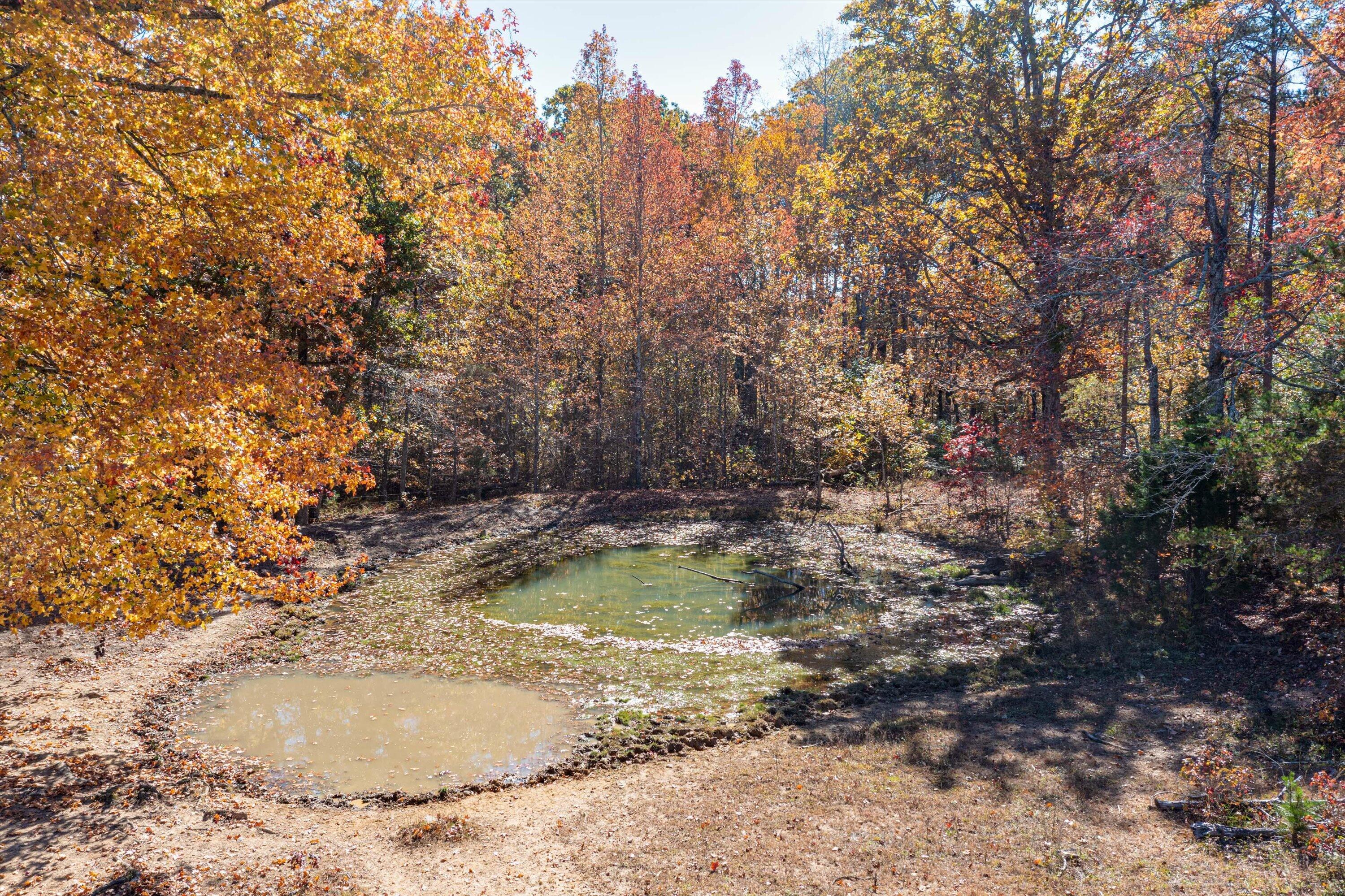 1314 Patton Road