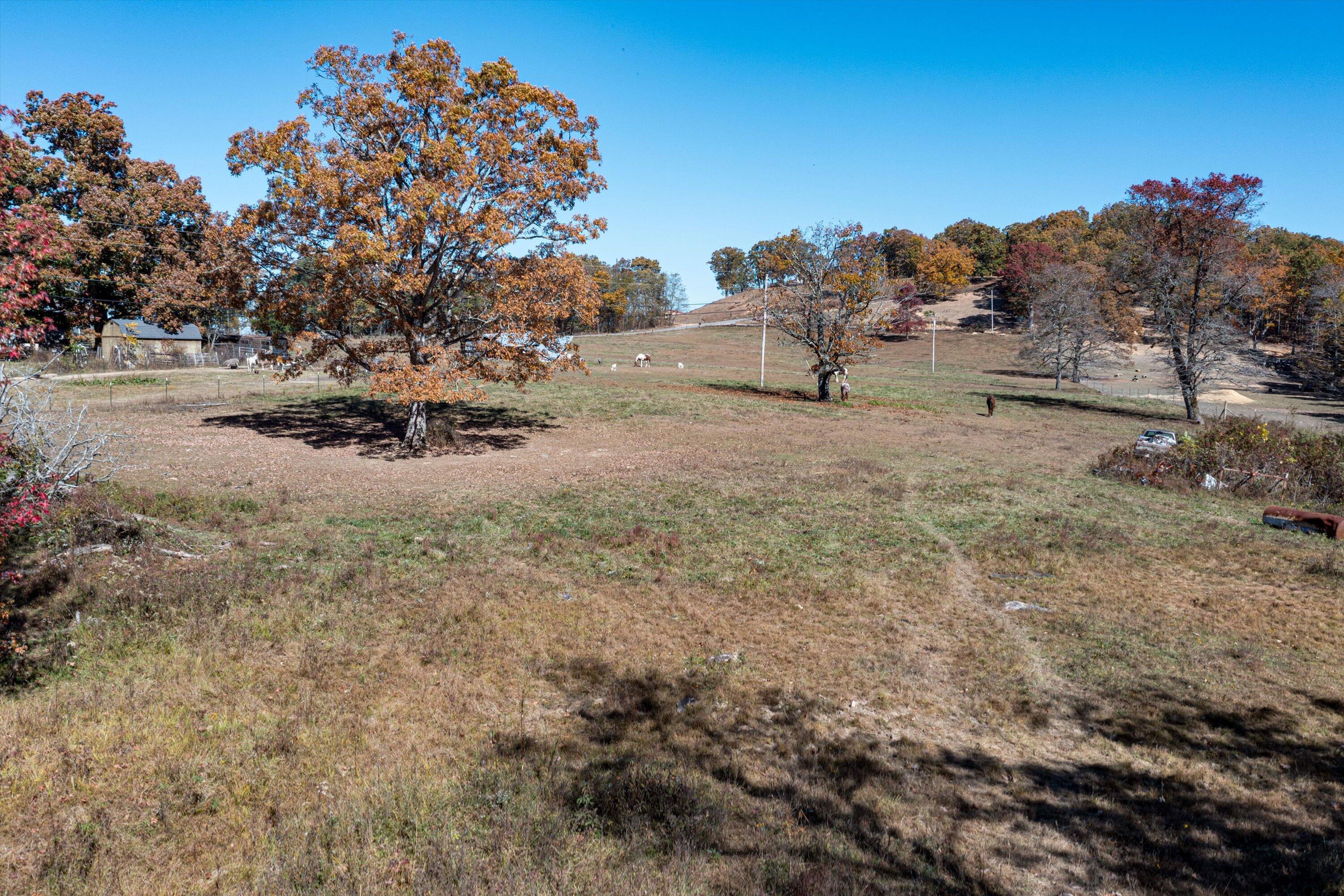 1314 Patton Road