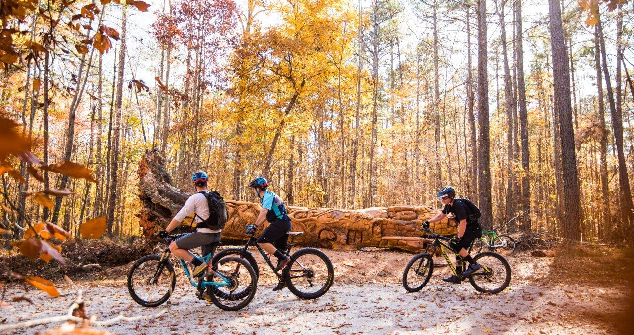 2324 Dogwood Grove Circle