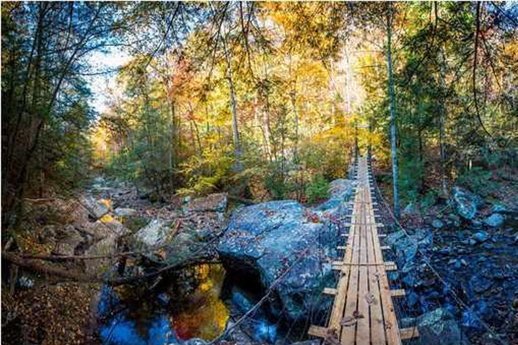 2324 Dogwood Grove Circle