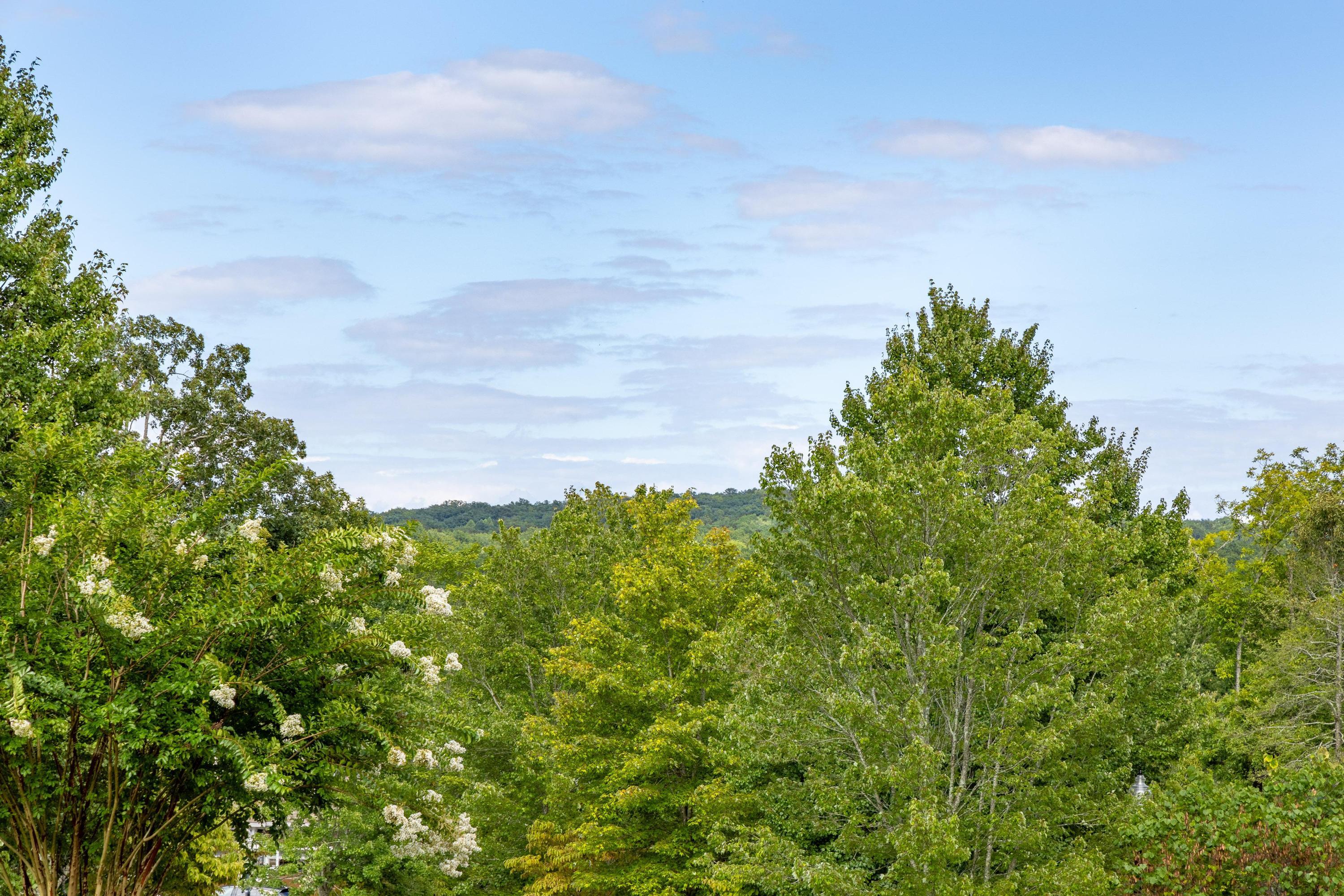 2324 Dogwood Grove Circle