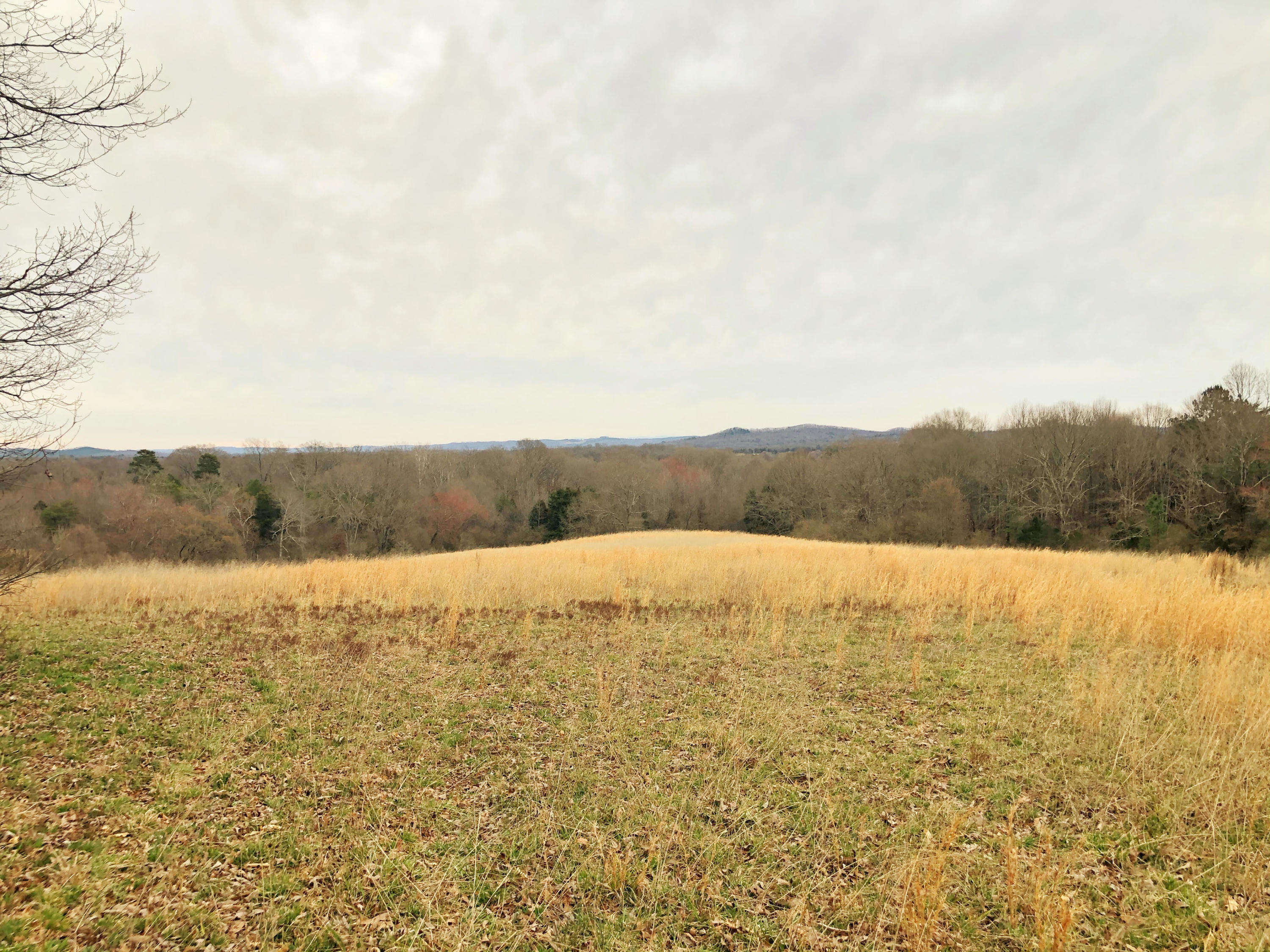 0 Lunker Lane, Tract #2