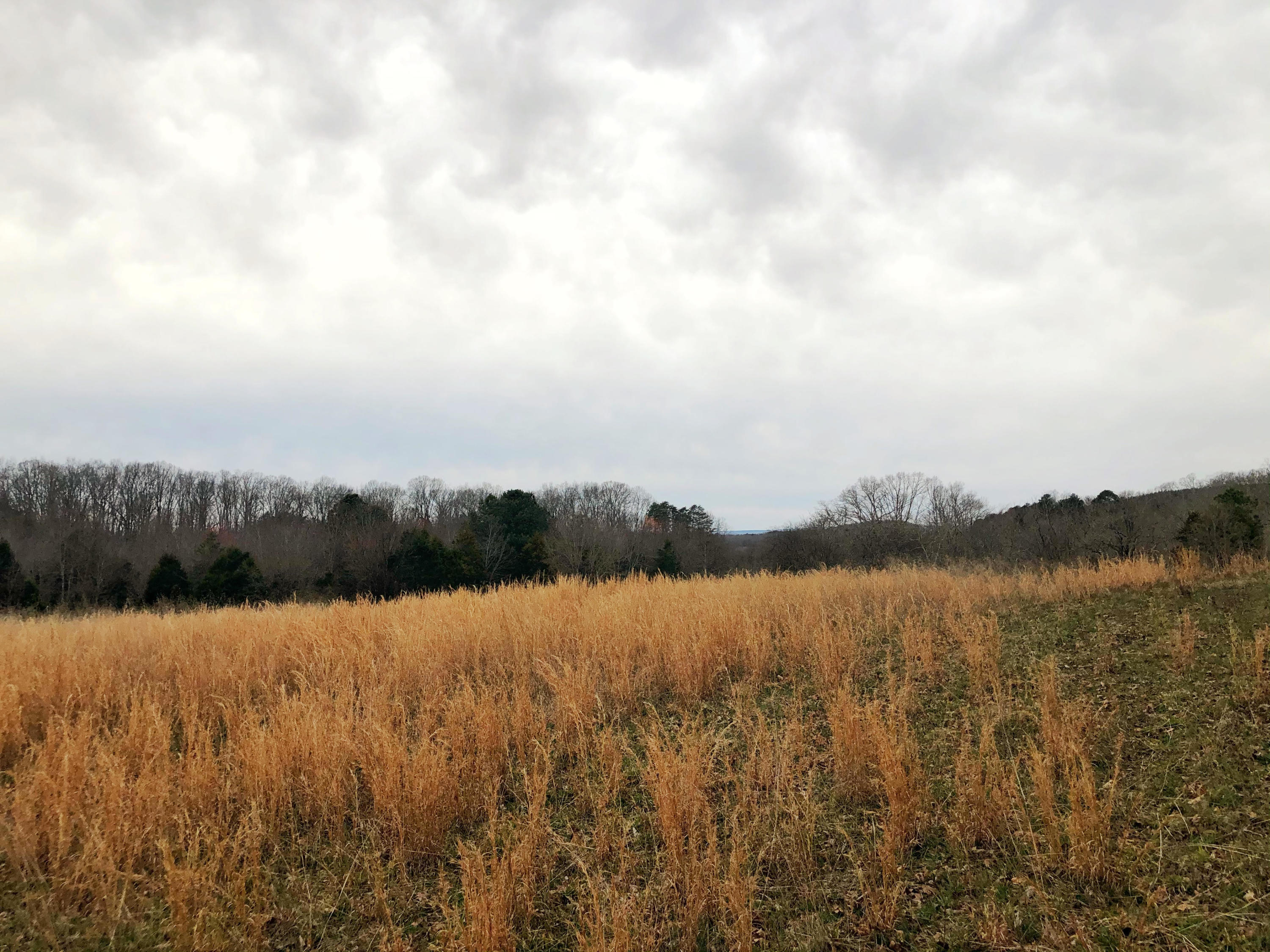 0 Lunker Lane, Tract #2