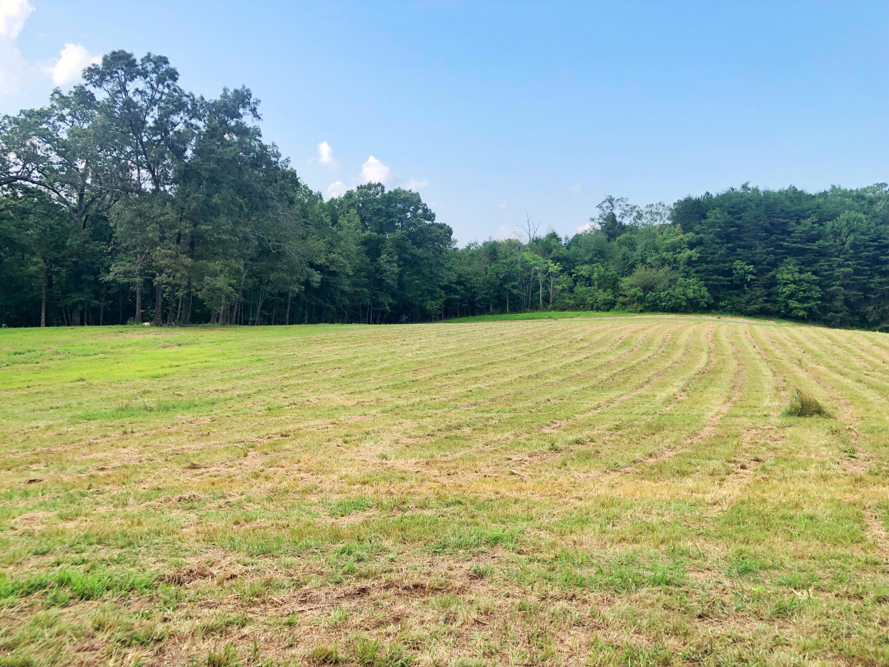 0 Lunker Lane, Tract #2