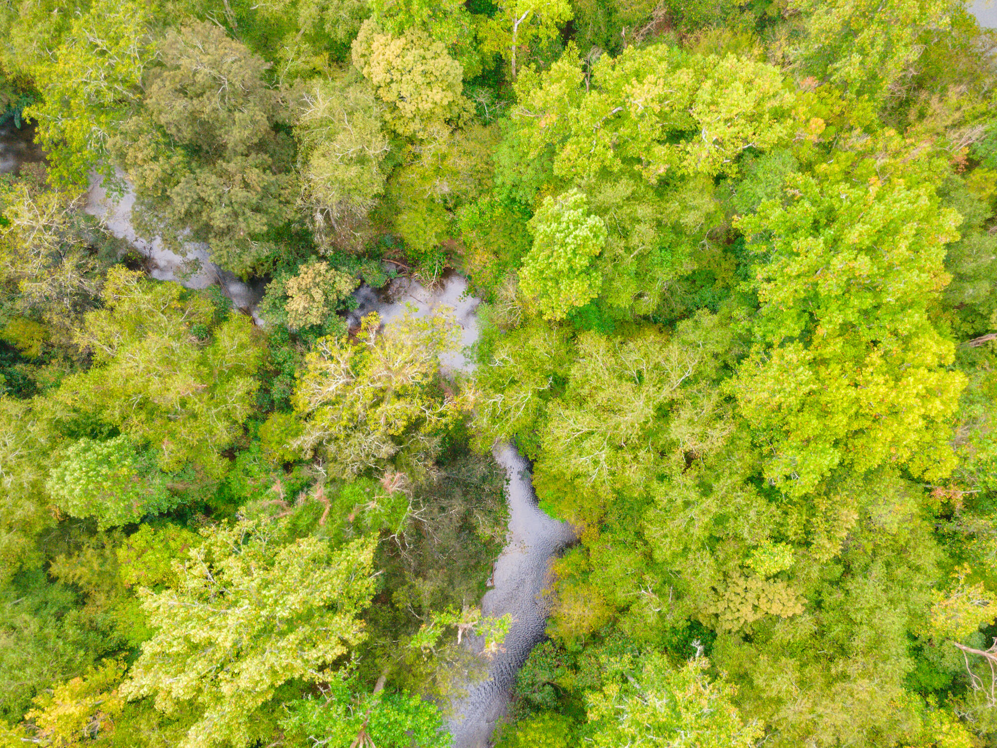 00 Ellis Creek Road