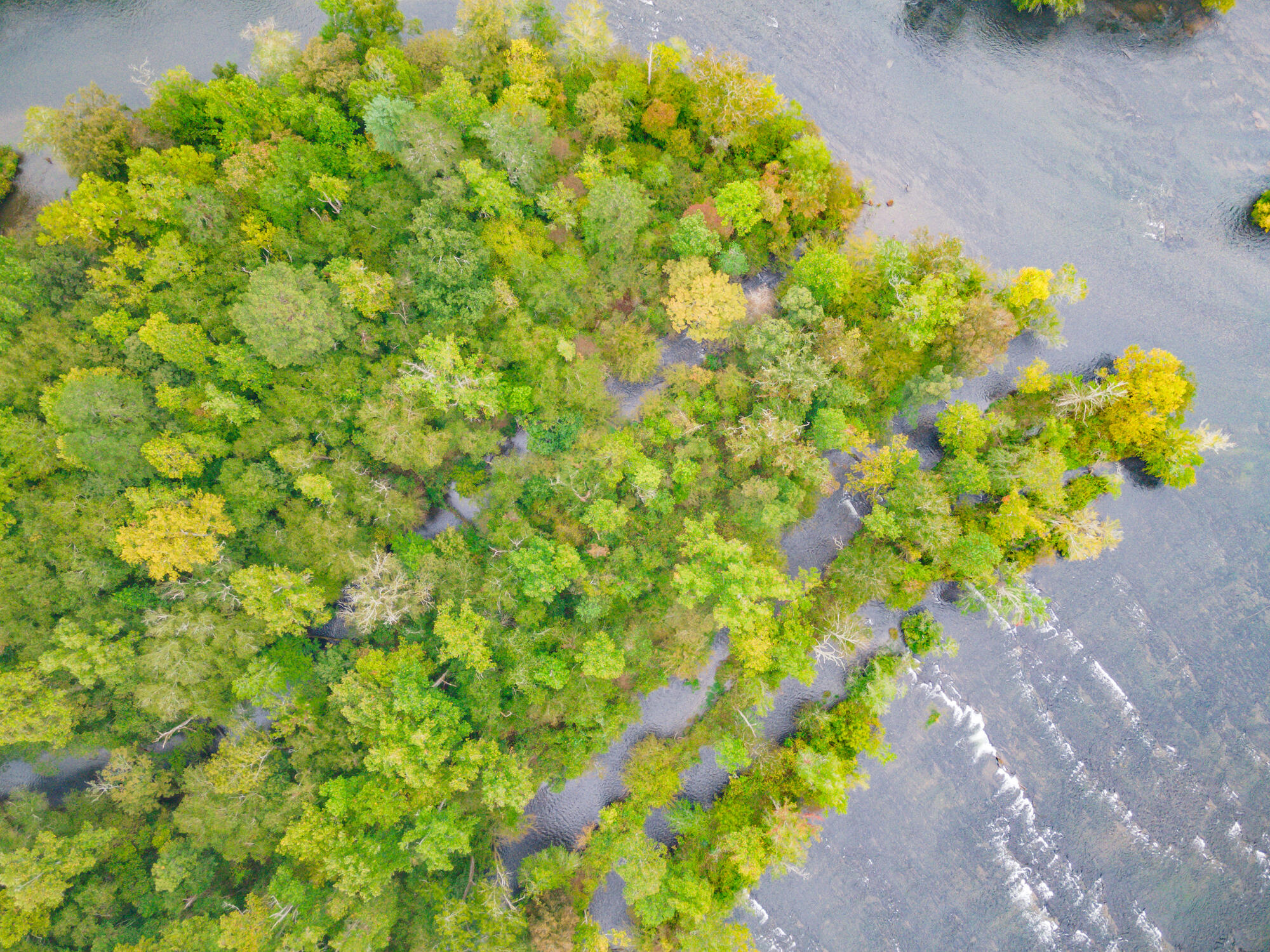 00 Ellis Creek Road