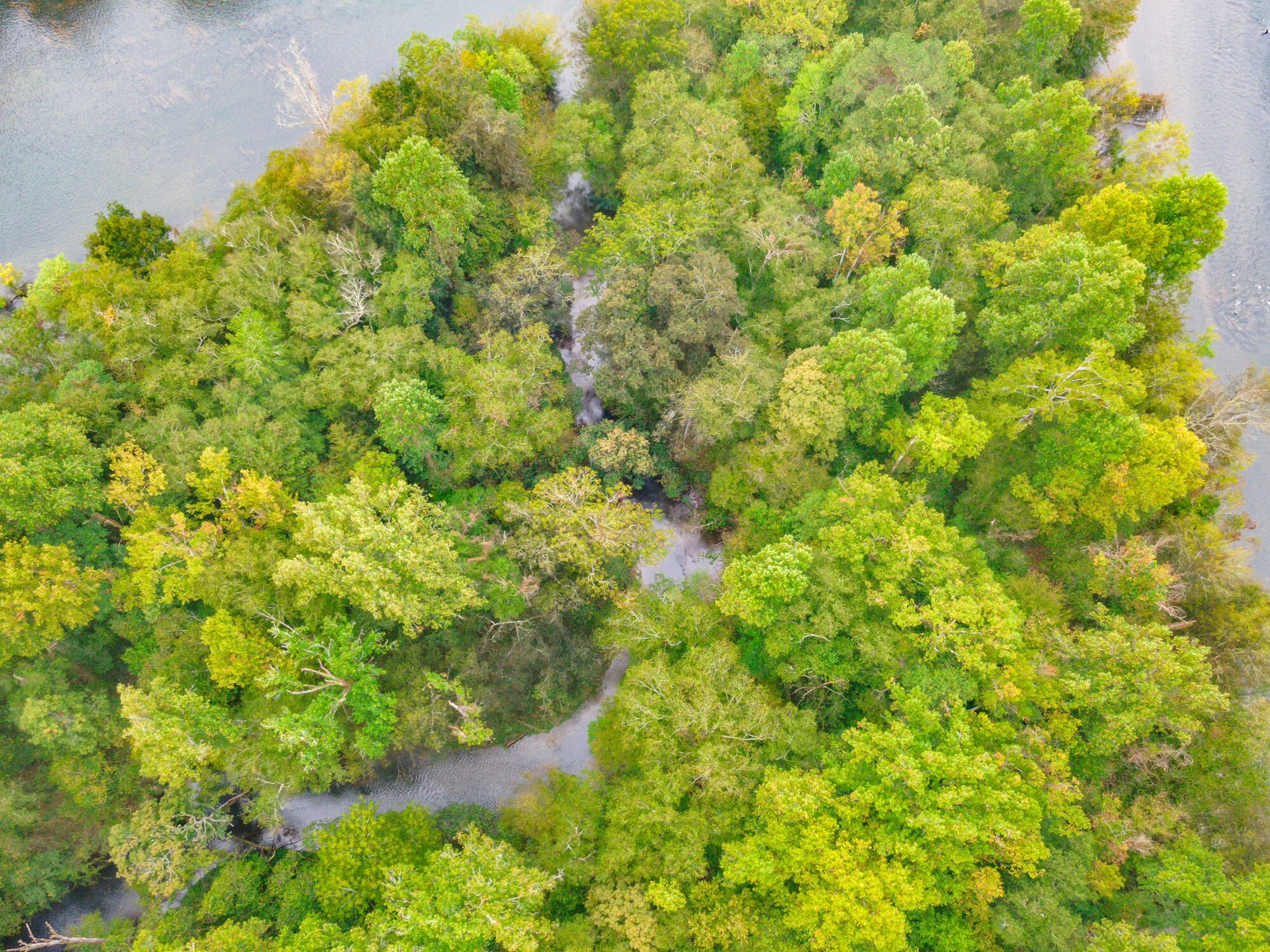 00 Ellis Creek Road