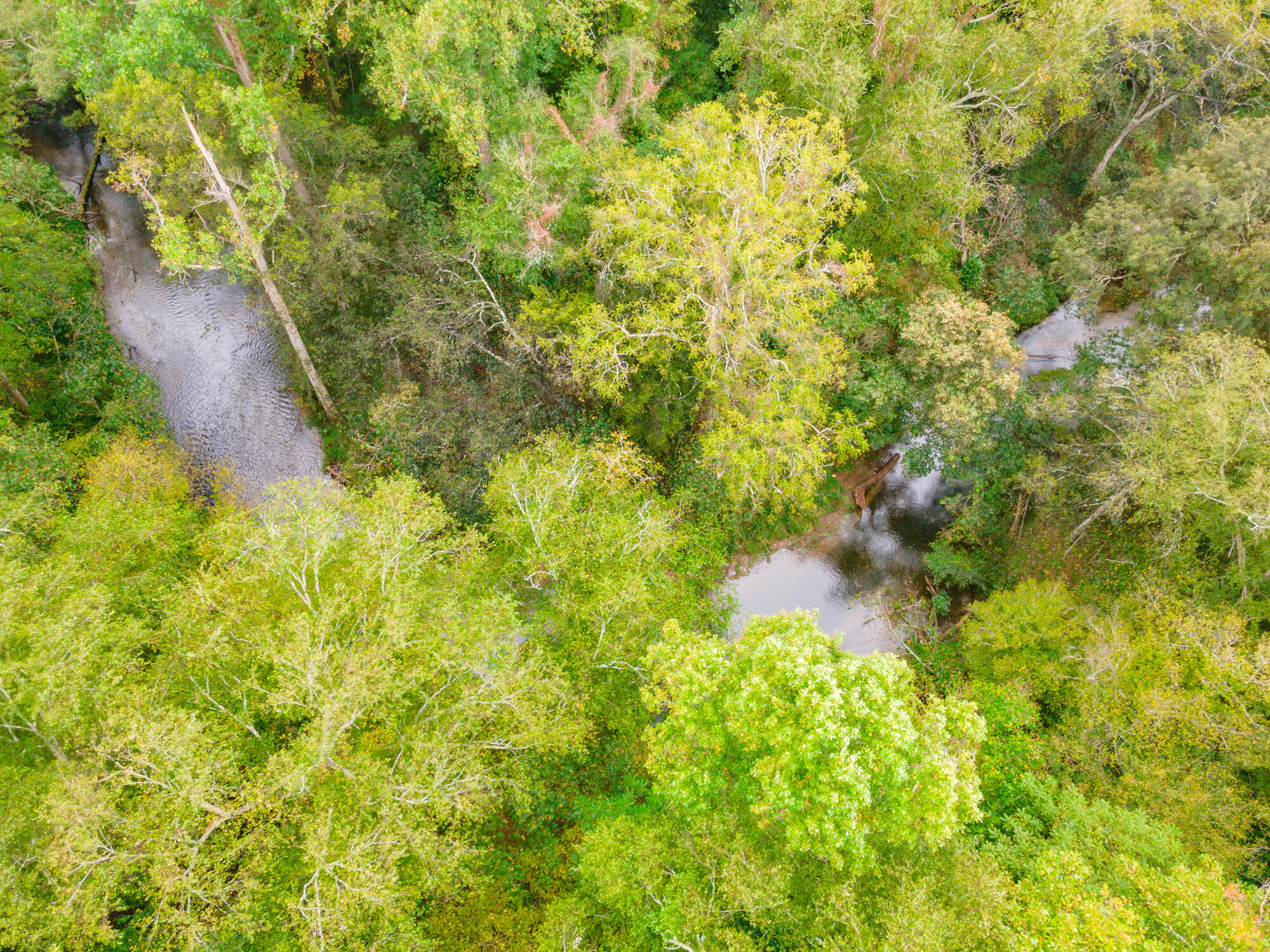 00 Ellis Creek Road
