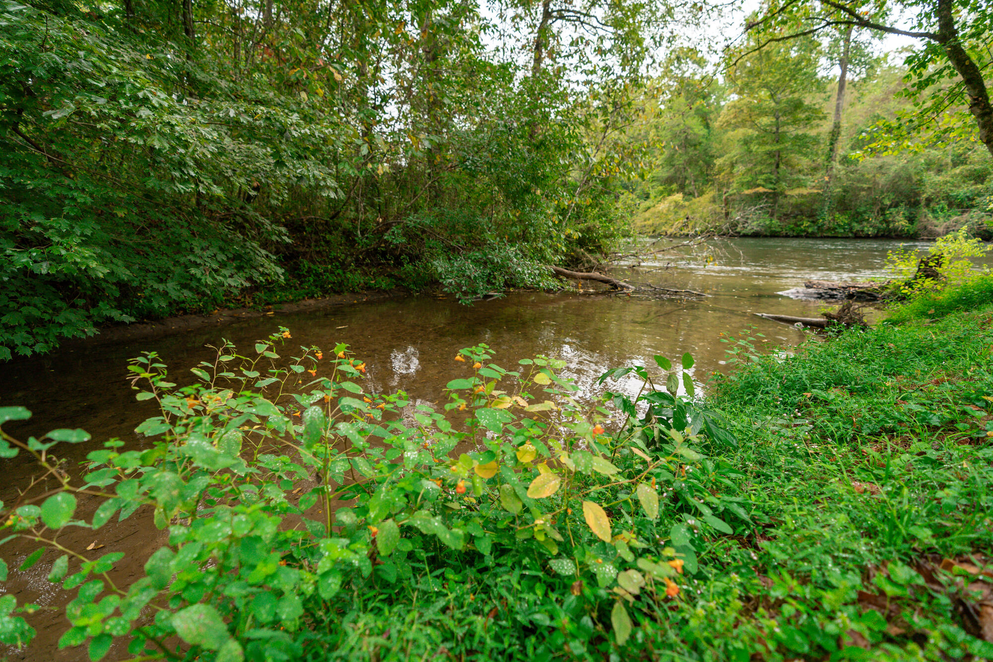 00 Ellis Creek Road