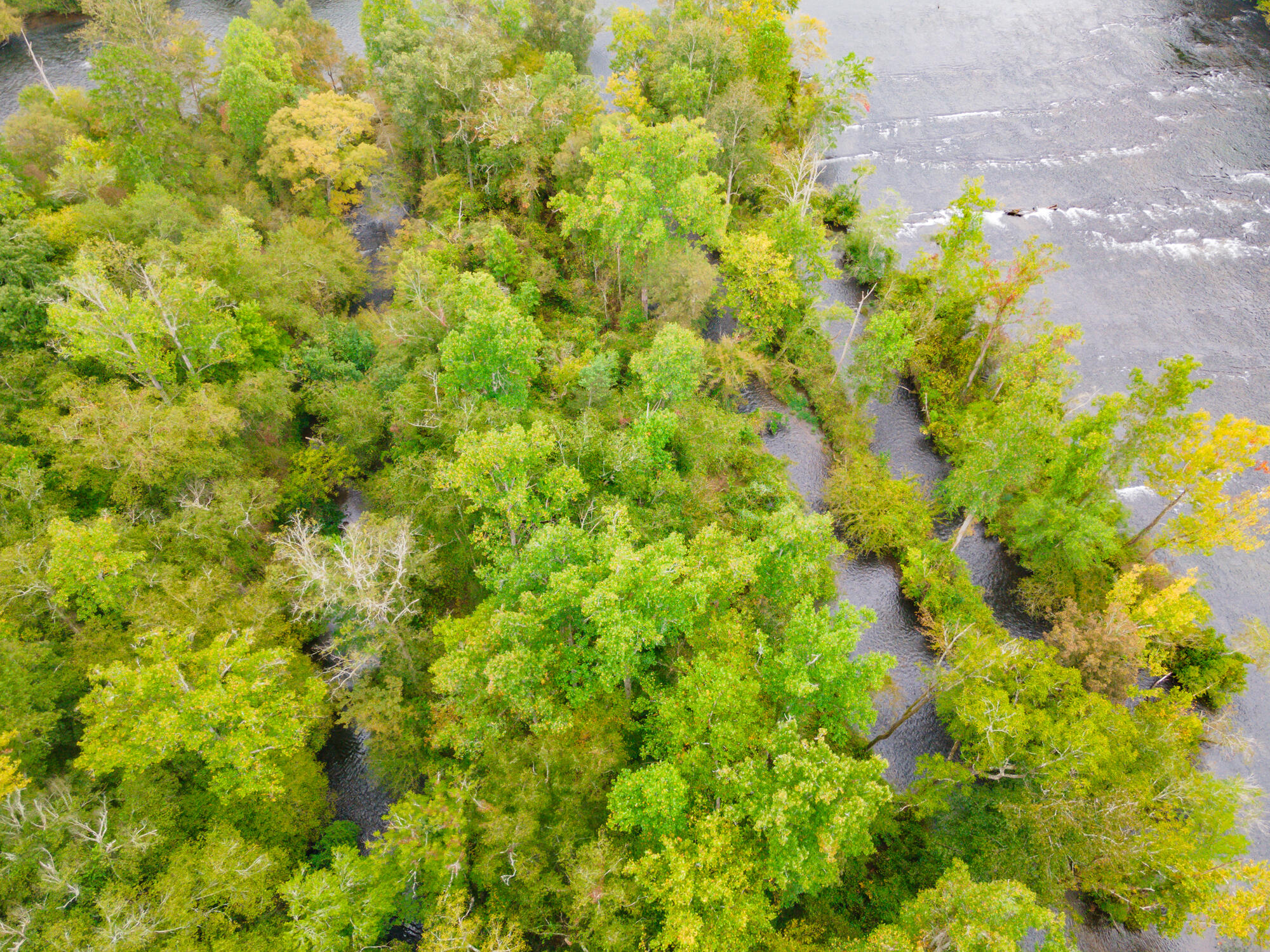 00 Ellis Creek Road