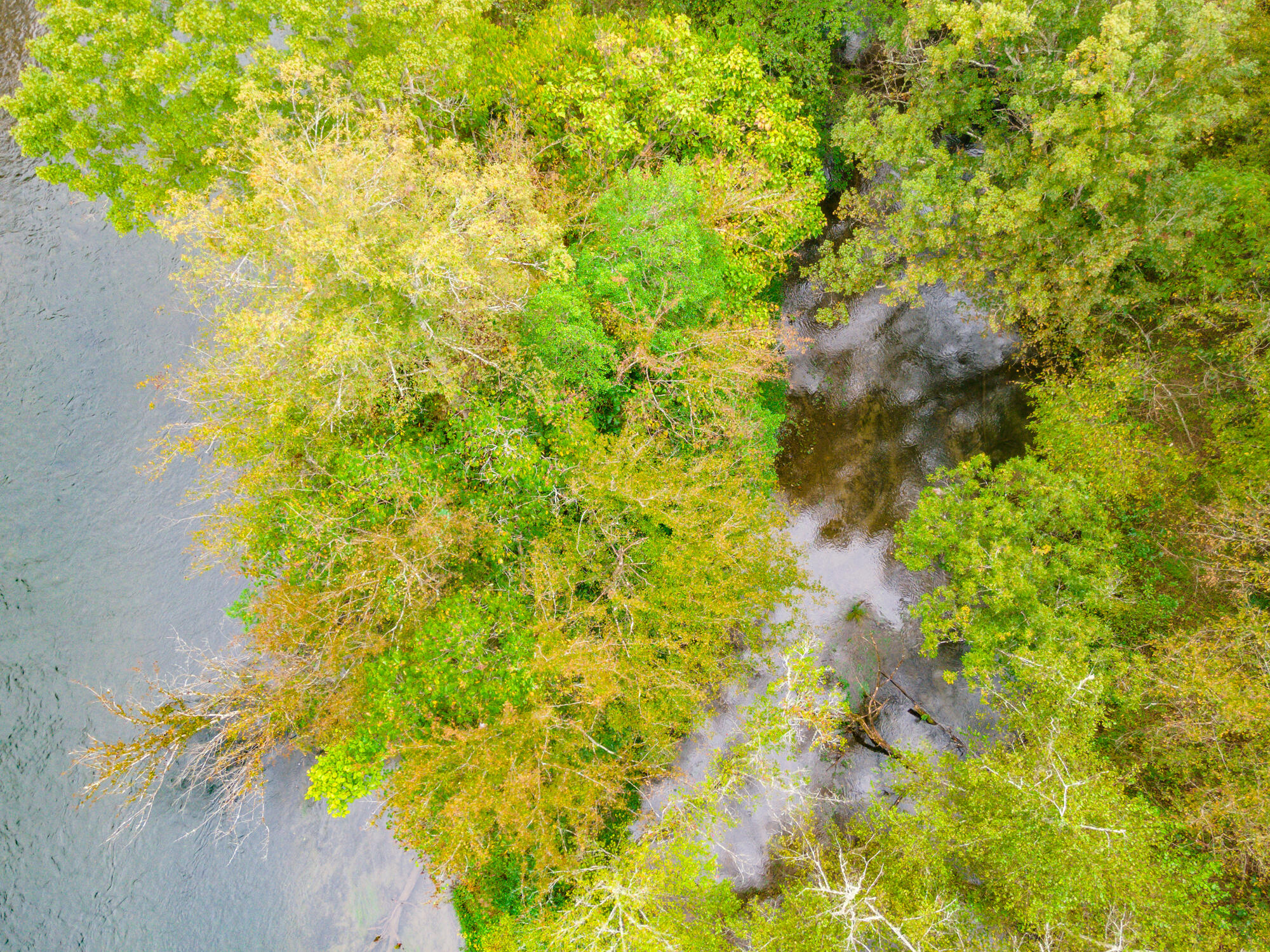 00 Ellis Creek Road