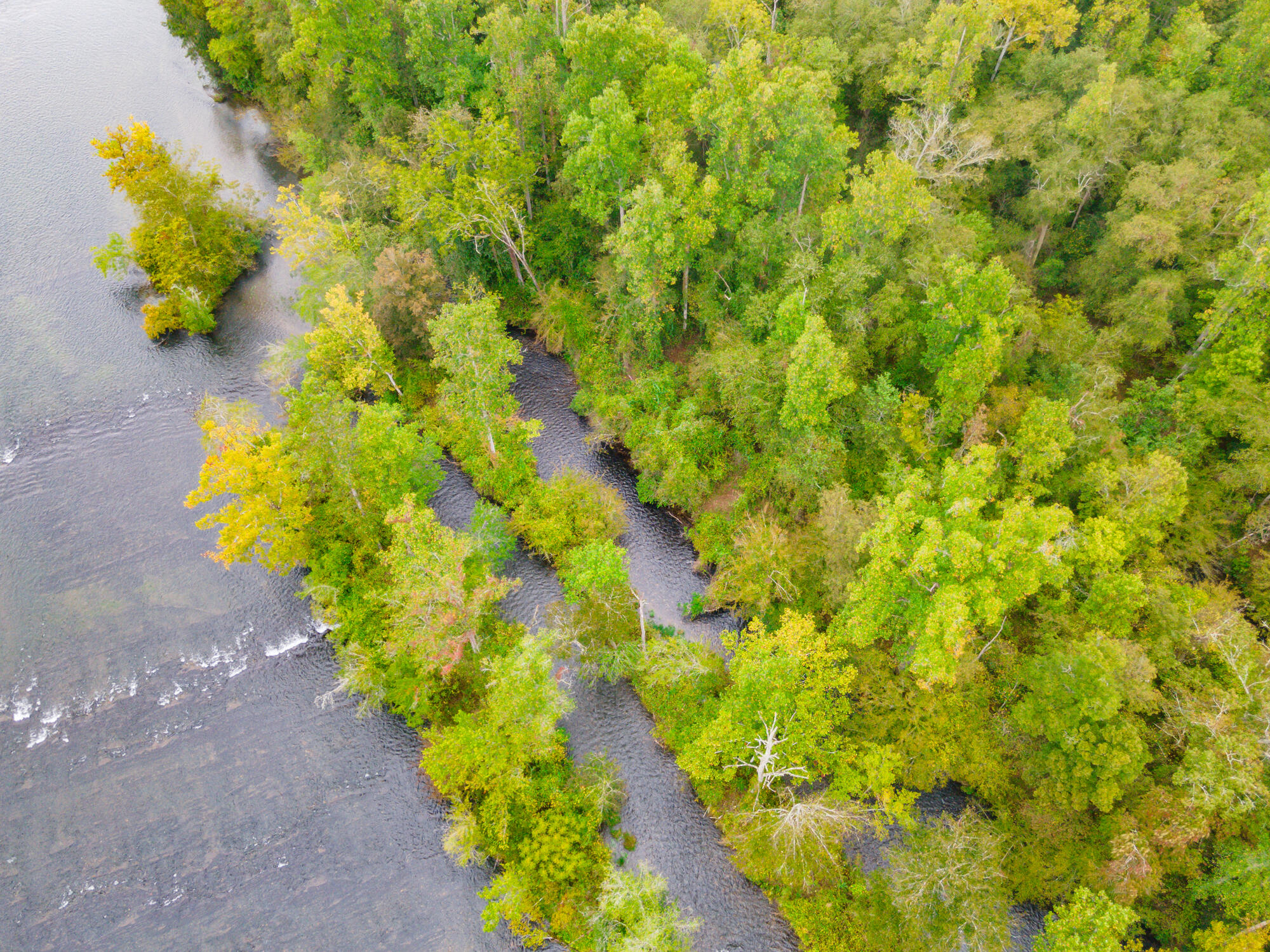00 Ellis Creek Road