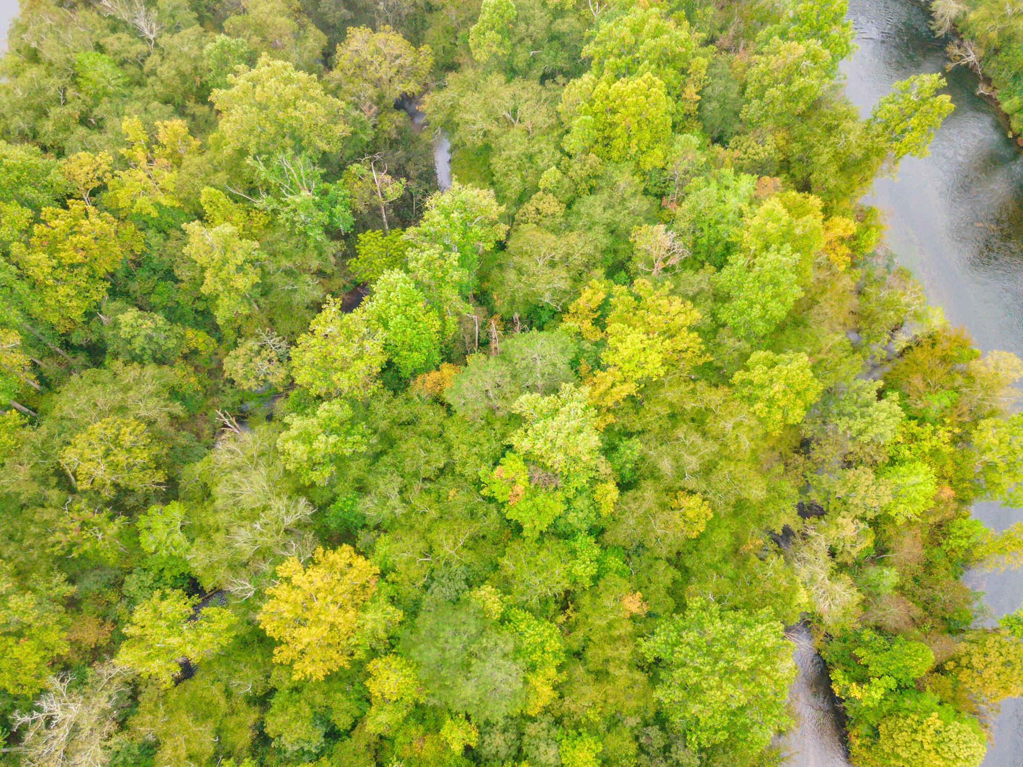 00 Ellis Creek Road