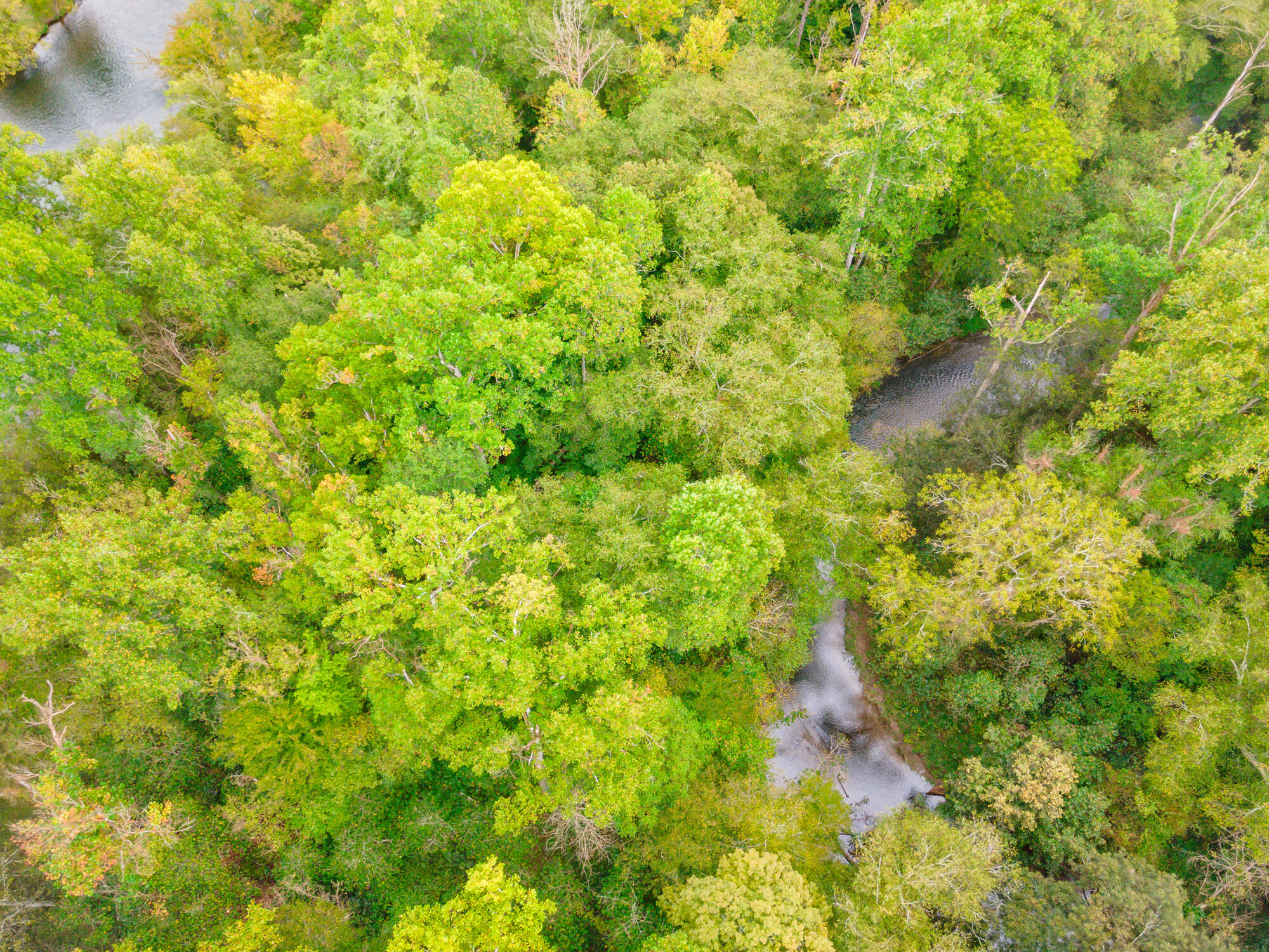 00 Ellis Creek Road
