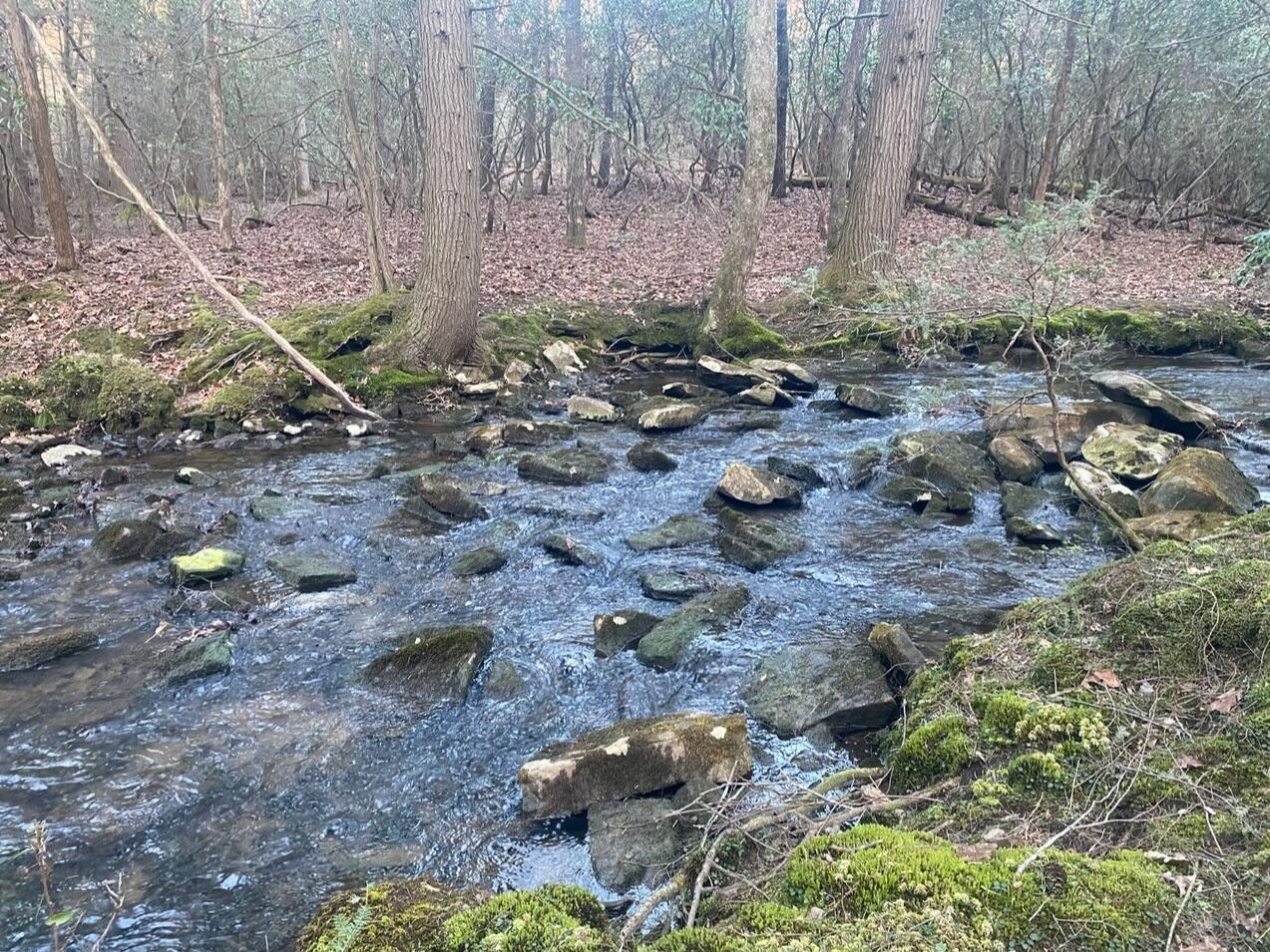 0 Beaten Path, Lot 62