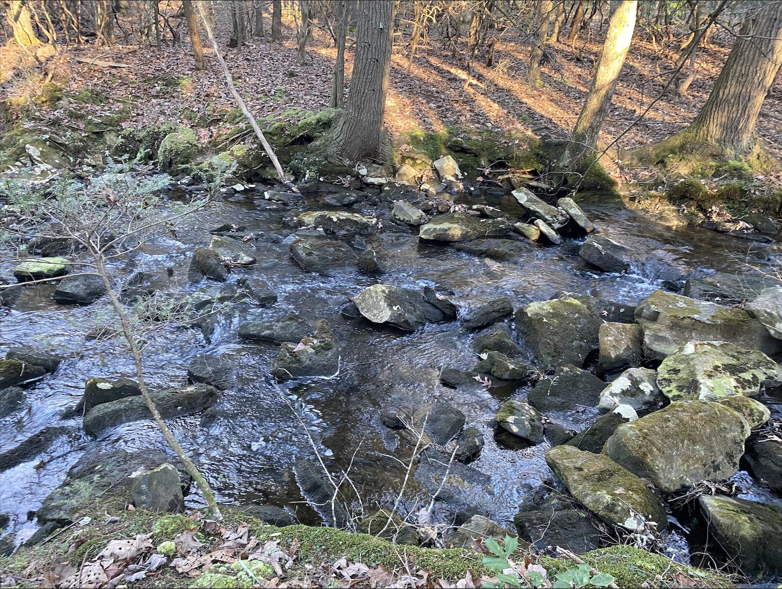 0 Beaten Path, Lot 62
