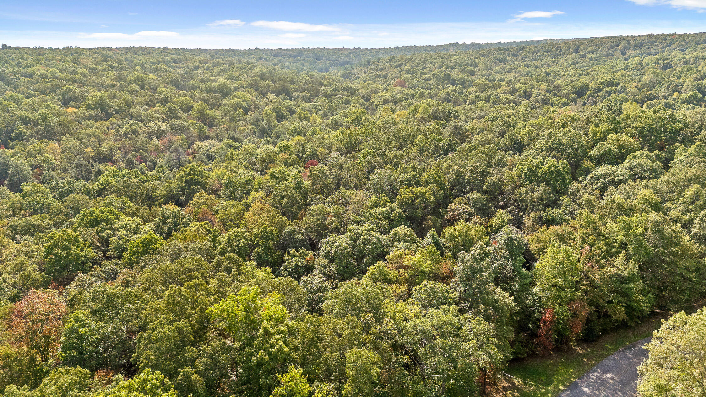0 Beaten Path, Lot 62