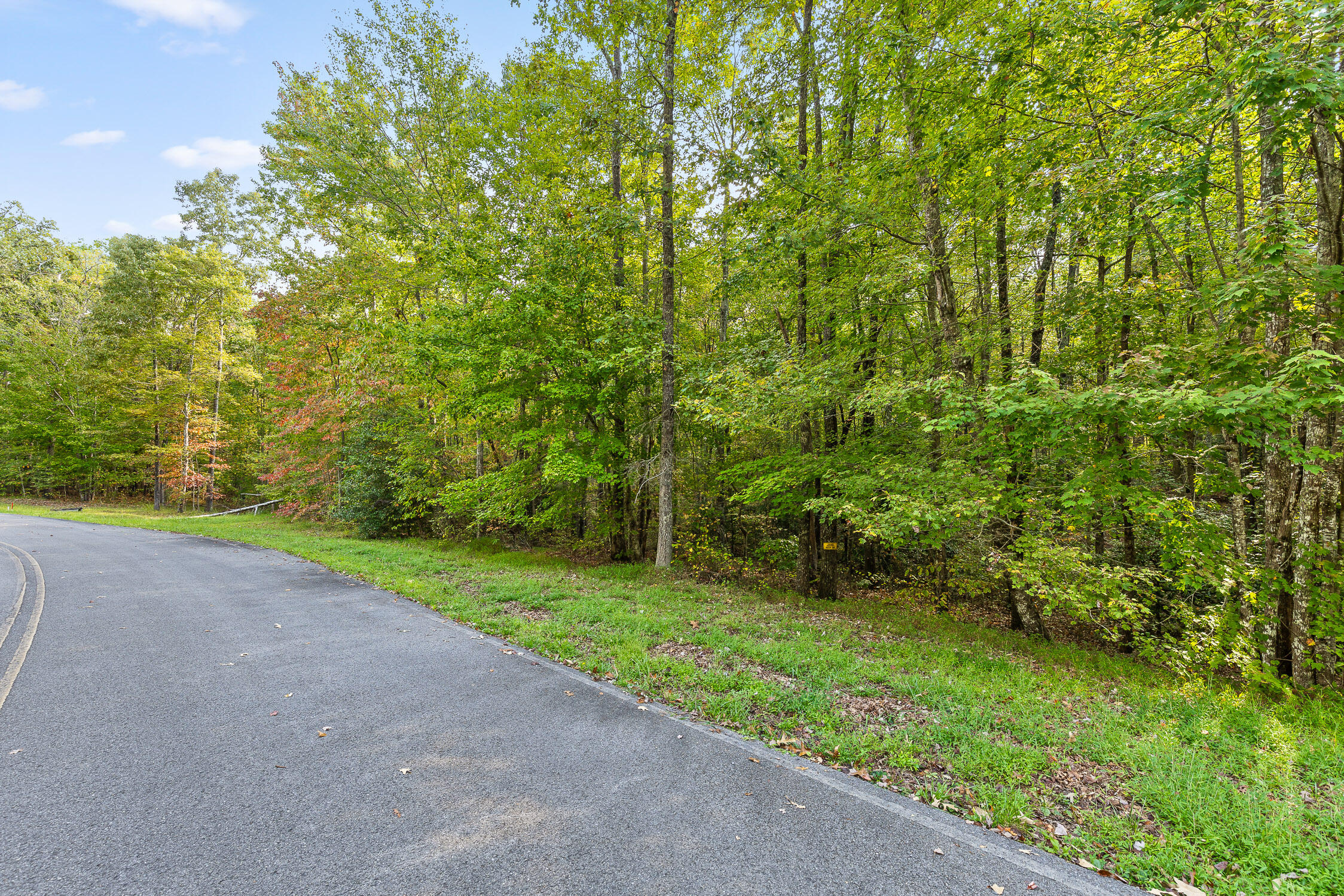 0 Beaten Path, Lot 62