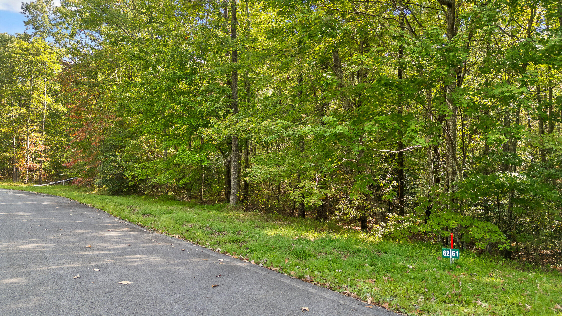 0 Beaten Path, Lot 62