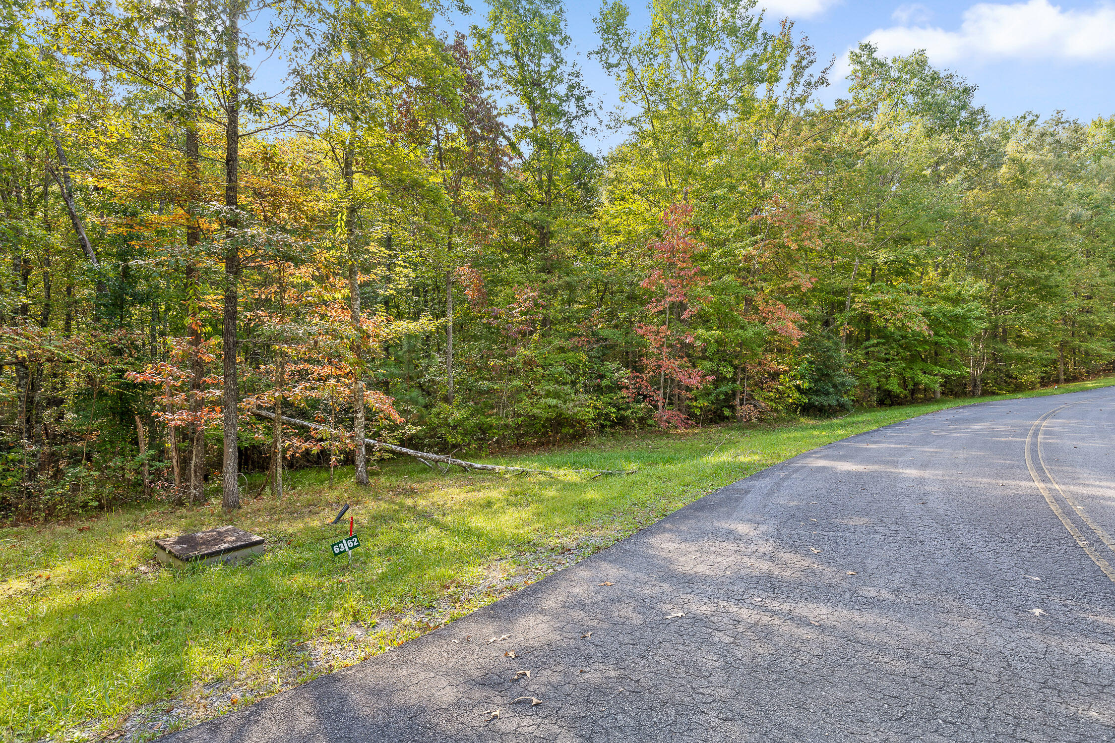 0 Beaten Path, Lot 62