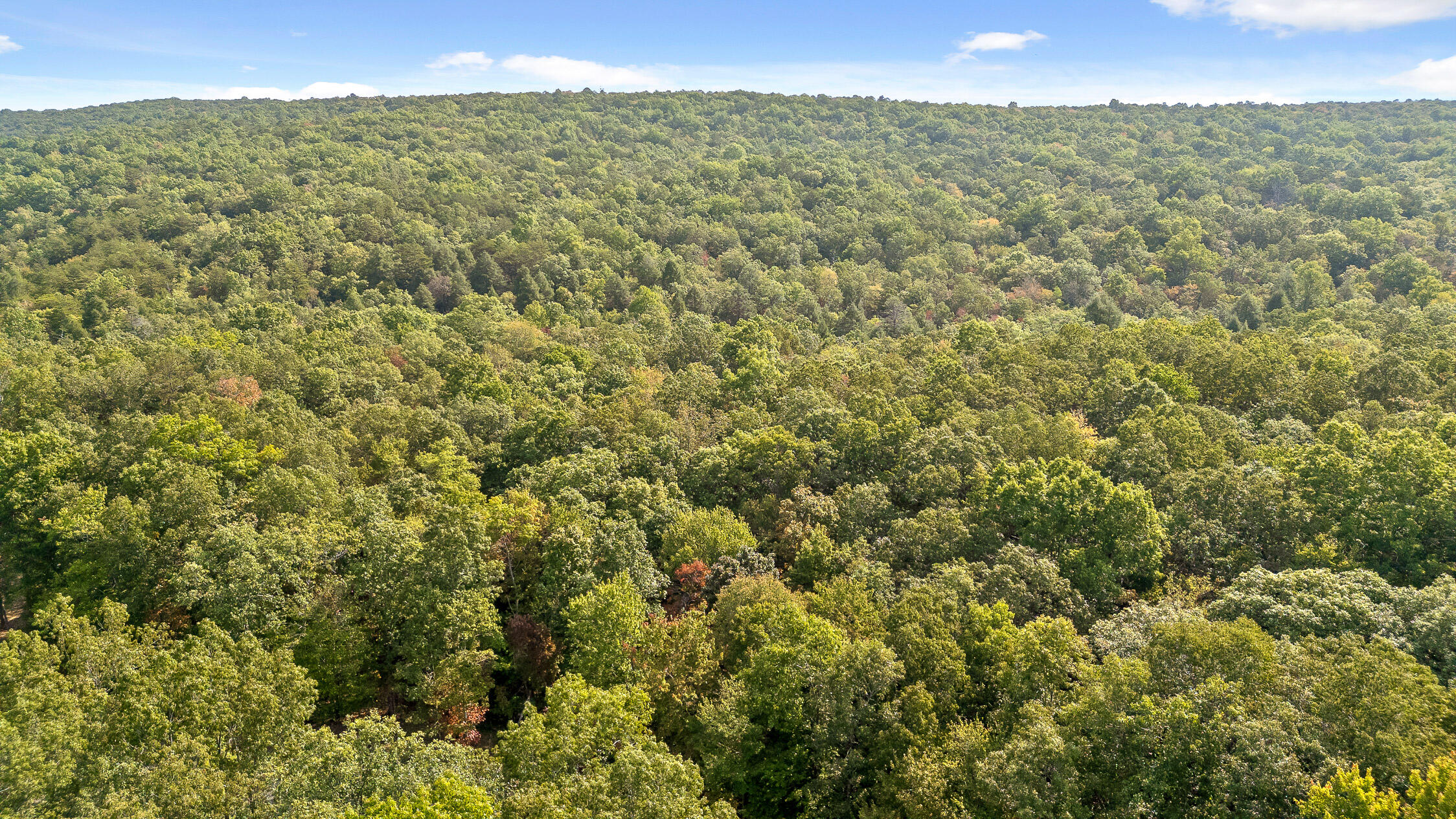 0 Beaten Path, Lot 62