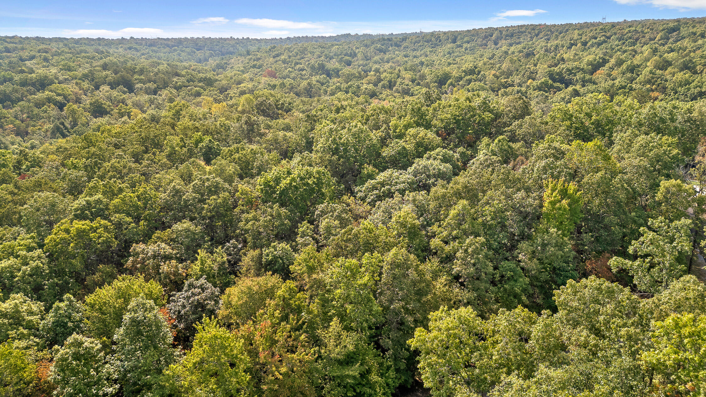 0 Beaten Path, Lot 62