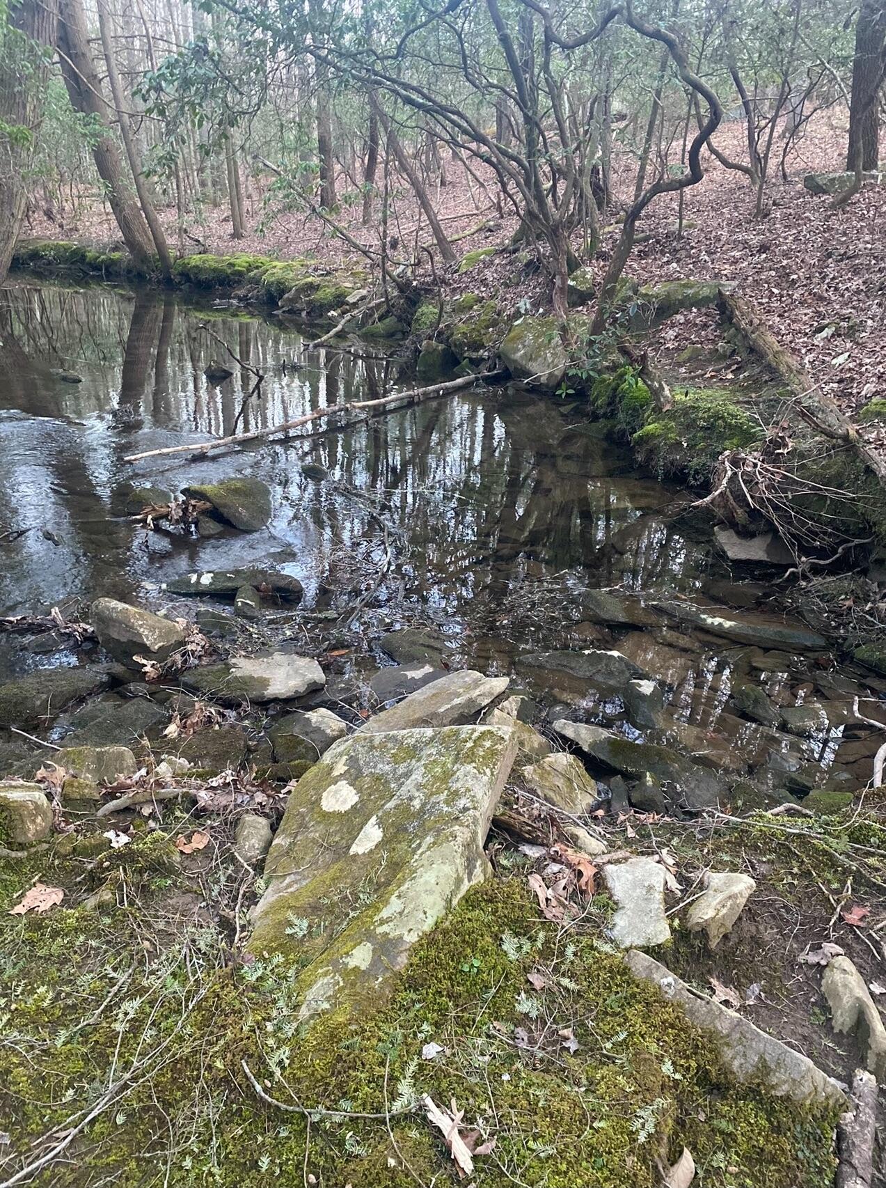 0 Beaten Path, Lot 62