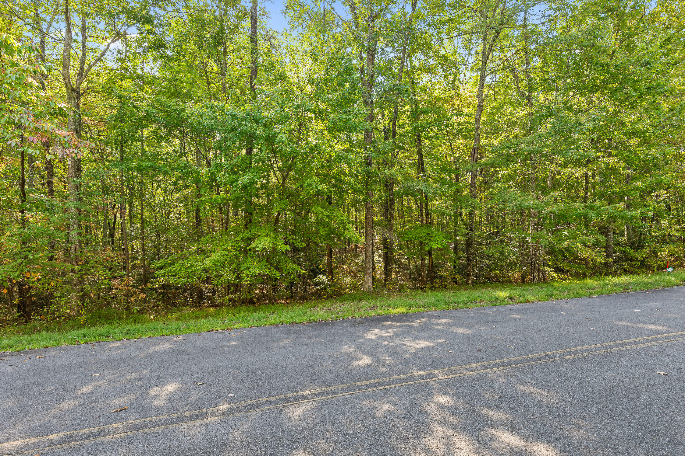 0 Beaten Path, Lot 62