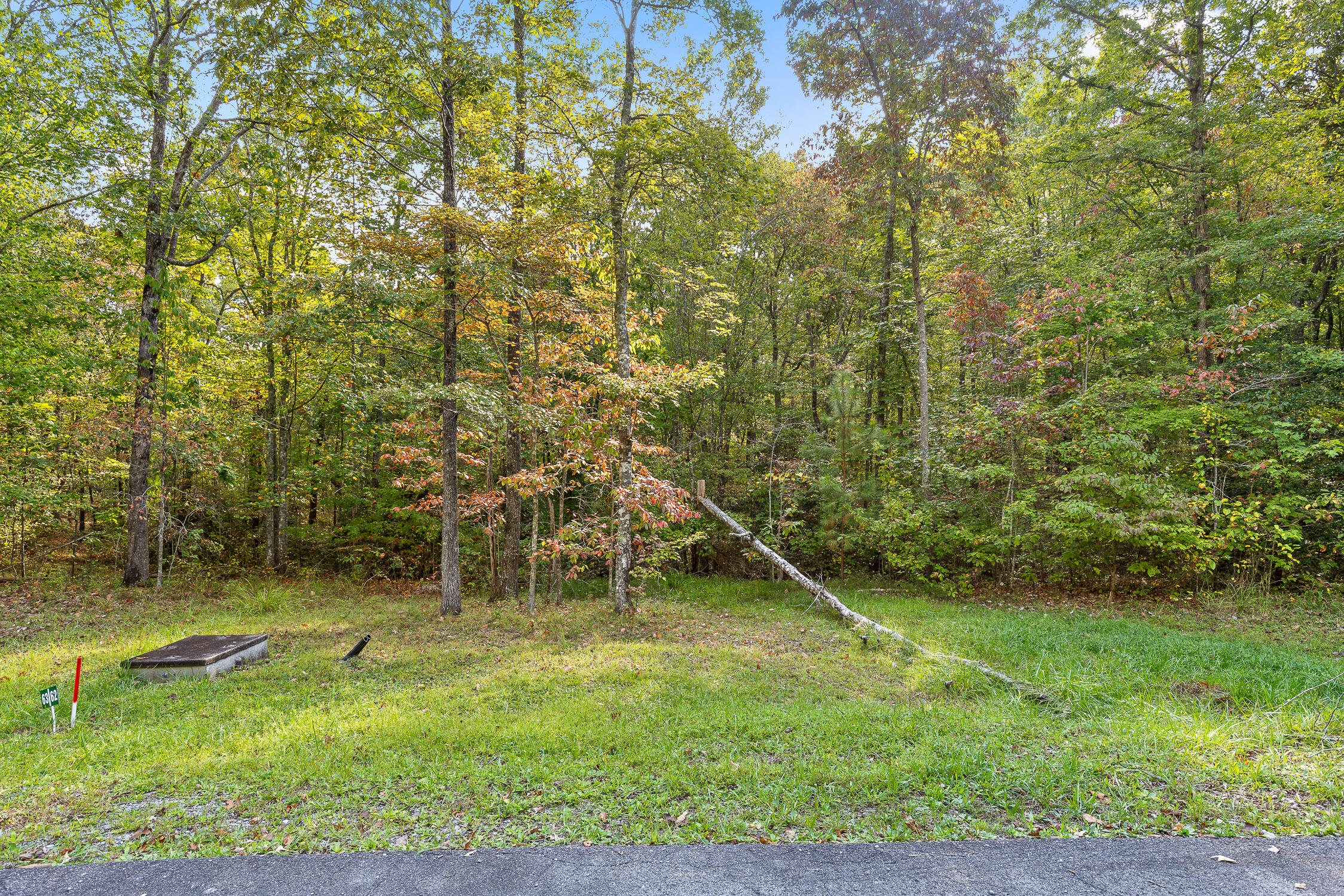 0 Beaten Path, Lot 62