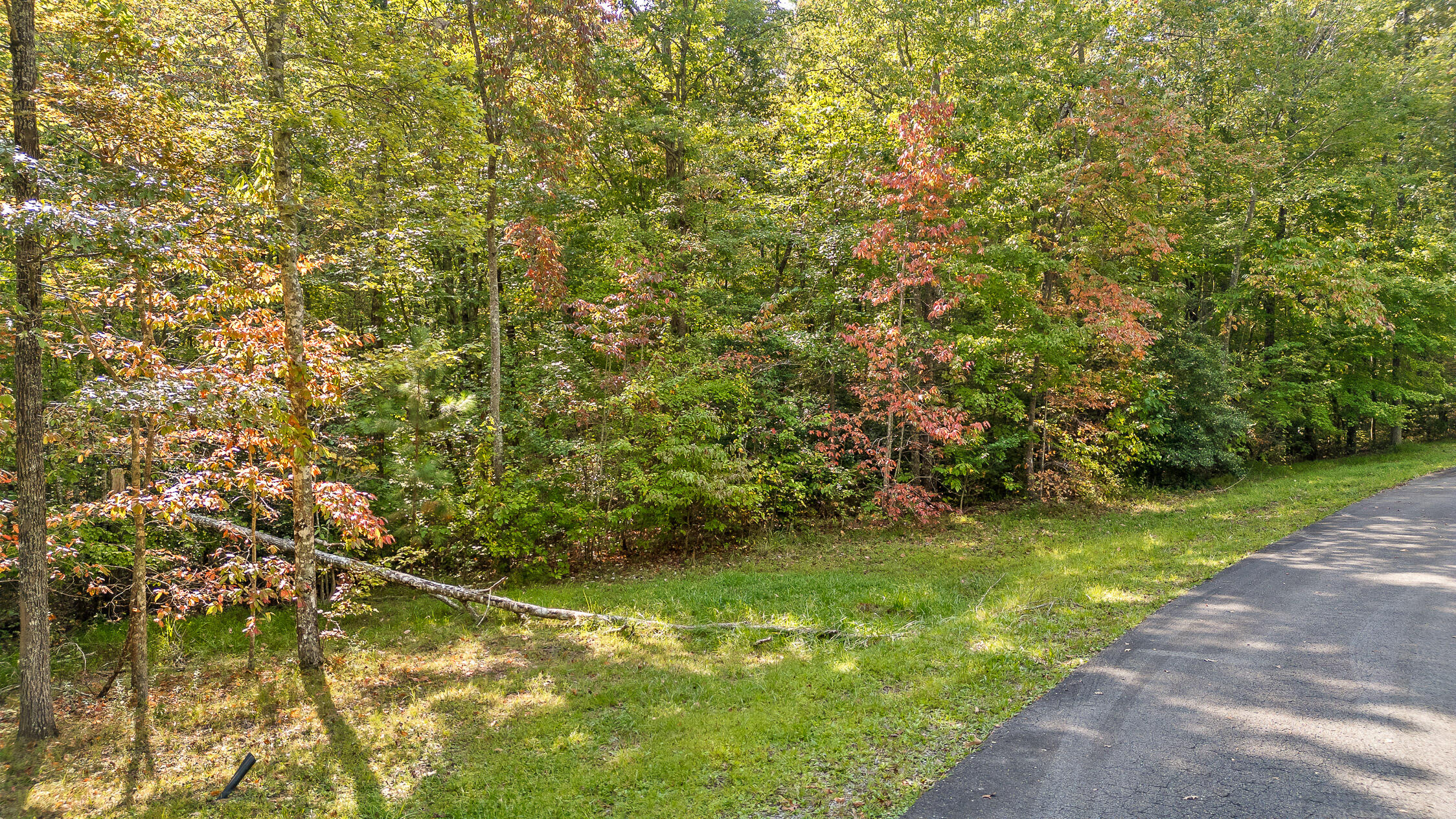 0 Beaten Path, Lot 62
