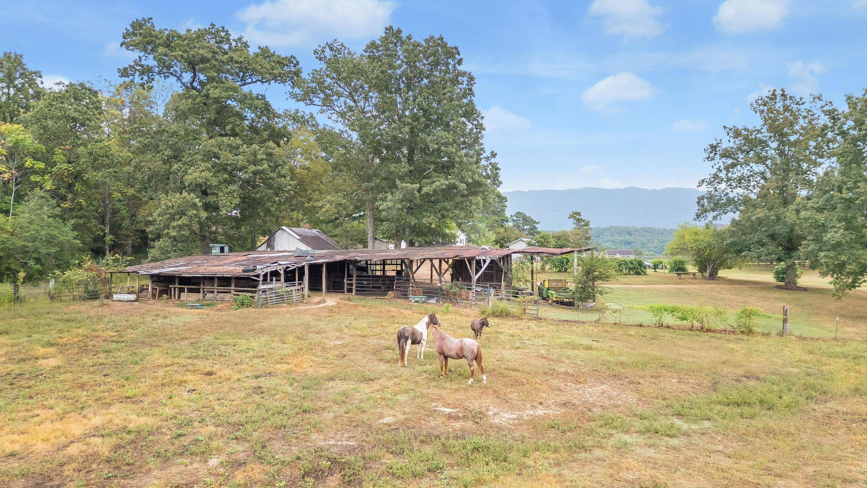 381 Bailey Road