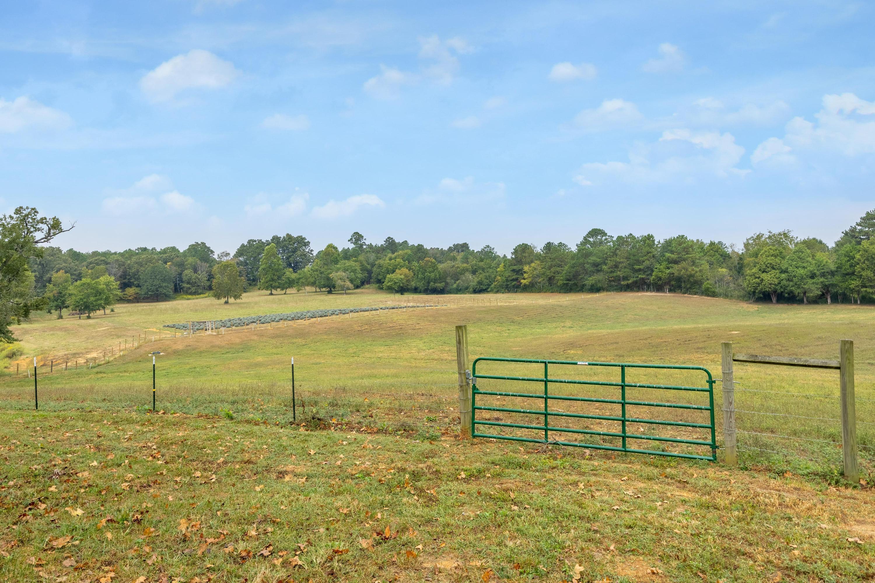 381 Bailey Road