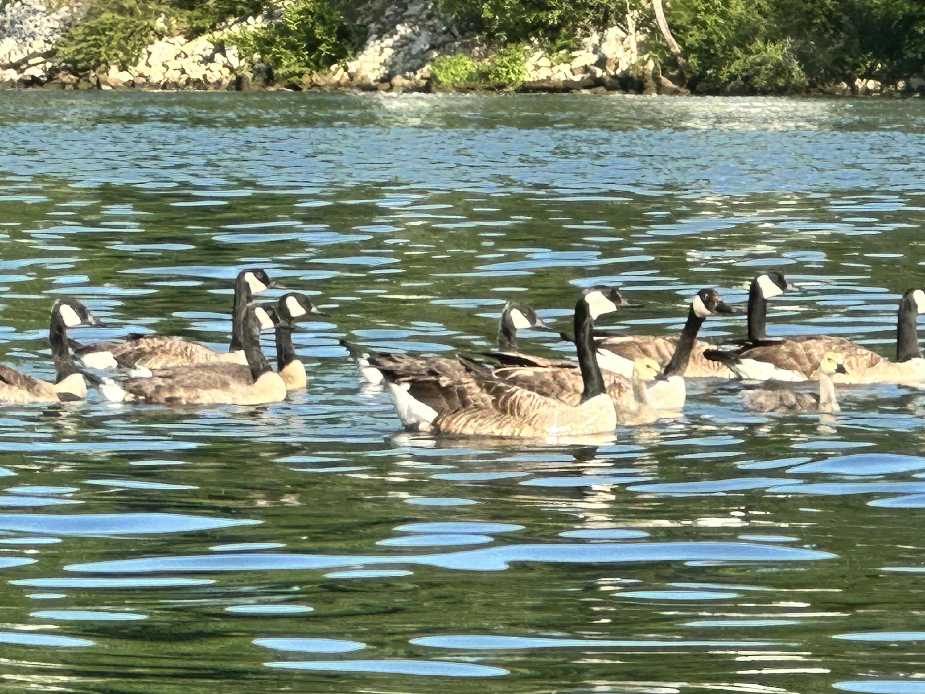 21010 River Canyon Road