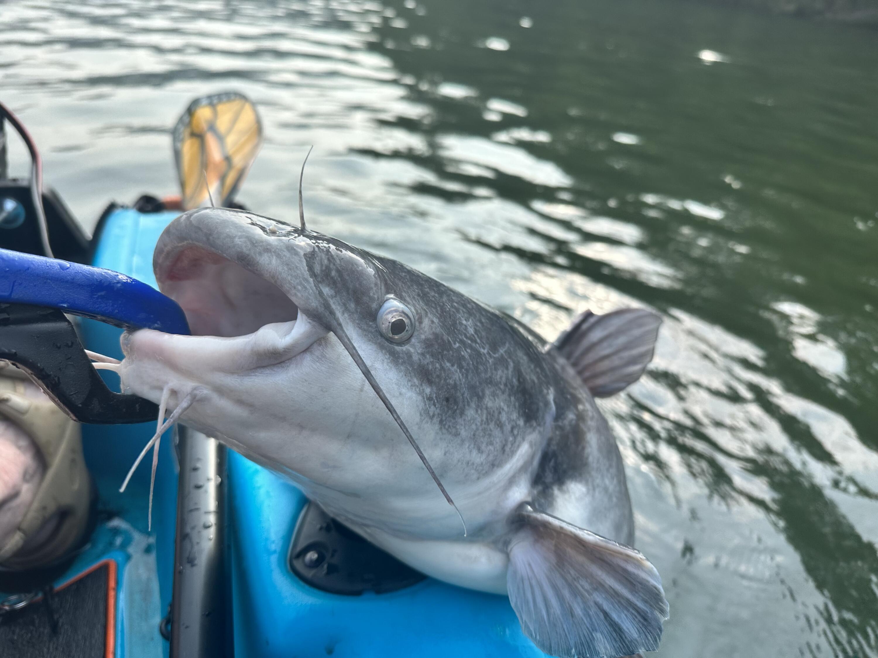 21010 River Canyon Road