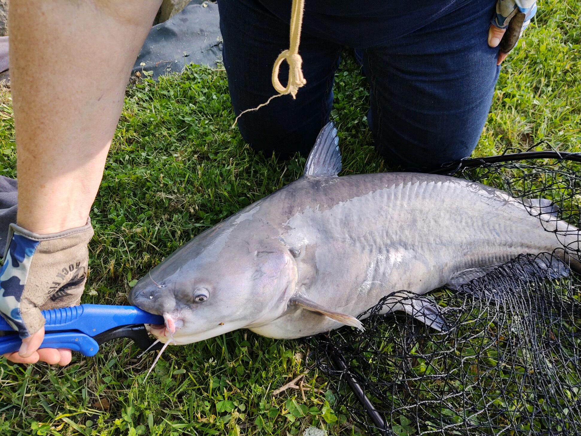 21010 River Canyon Road