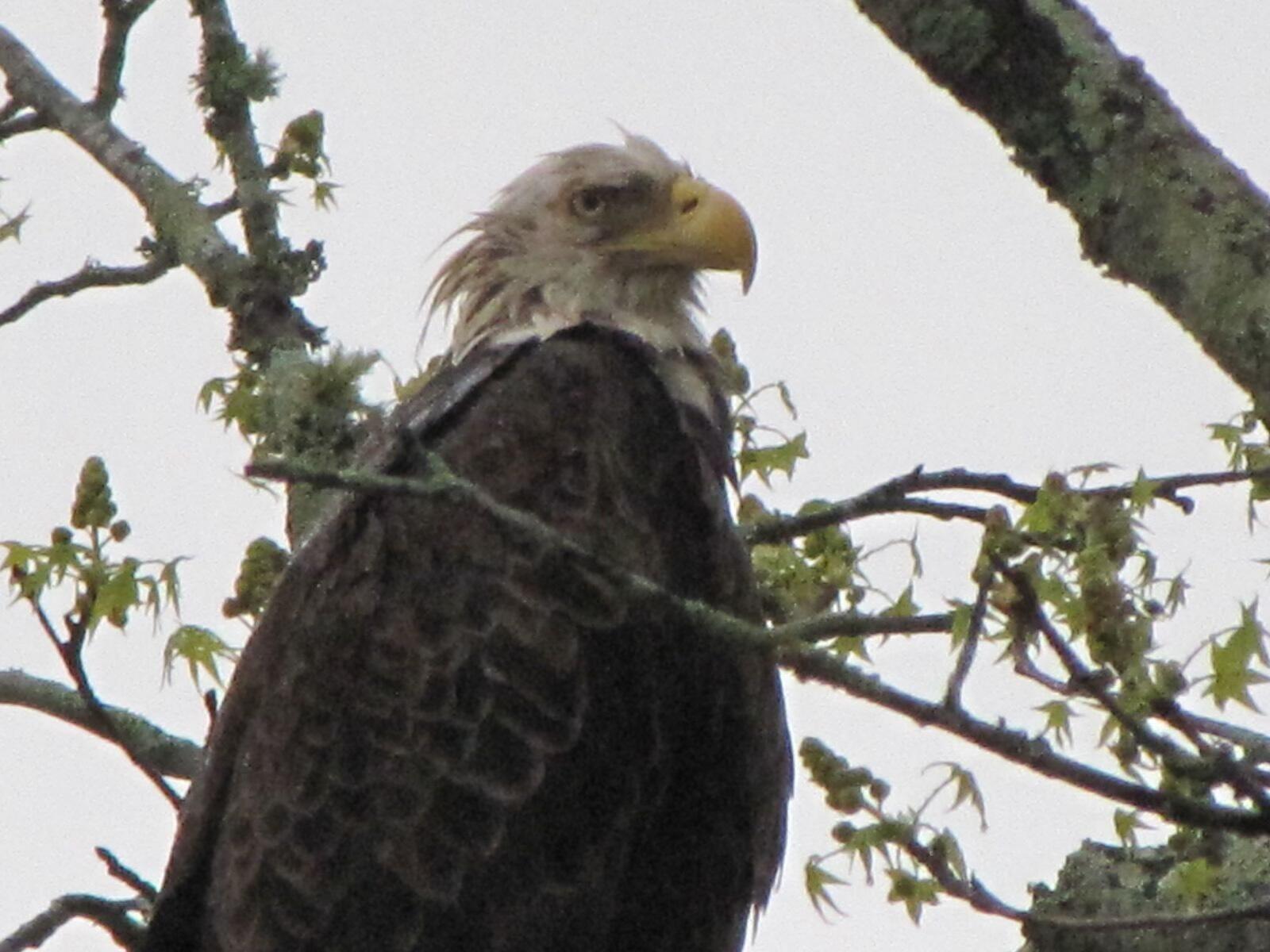 21010 River Canyon Road